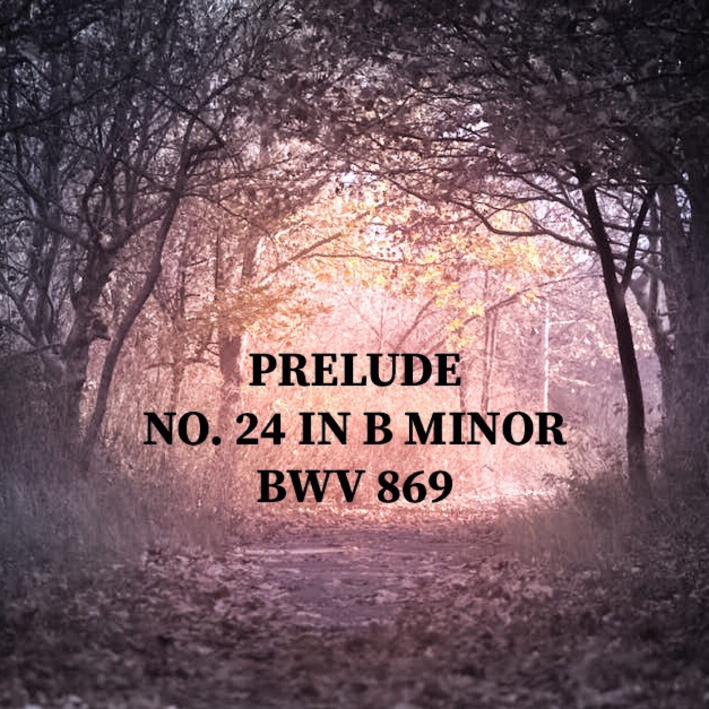 Prelude No. 24 in B Minor, BWV 869