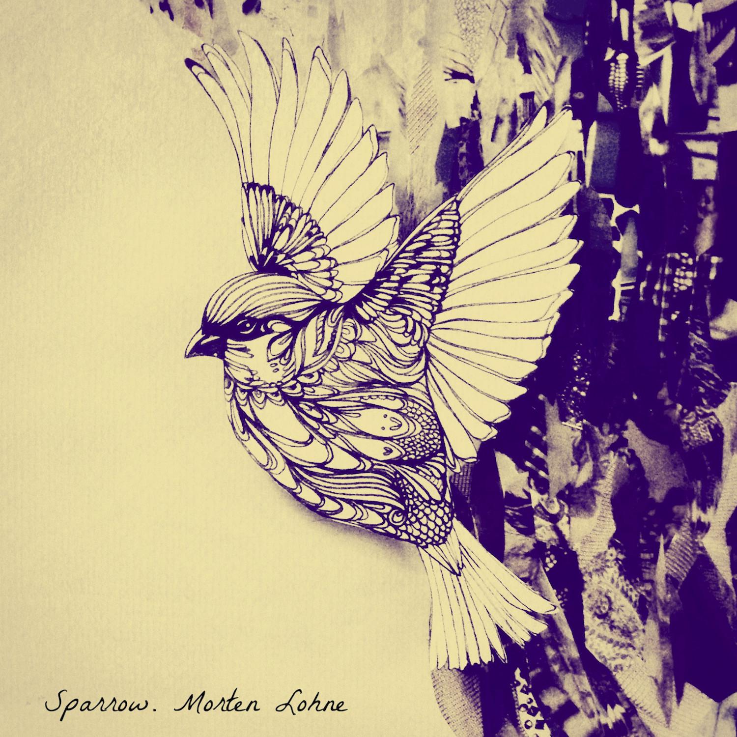 Sparrow