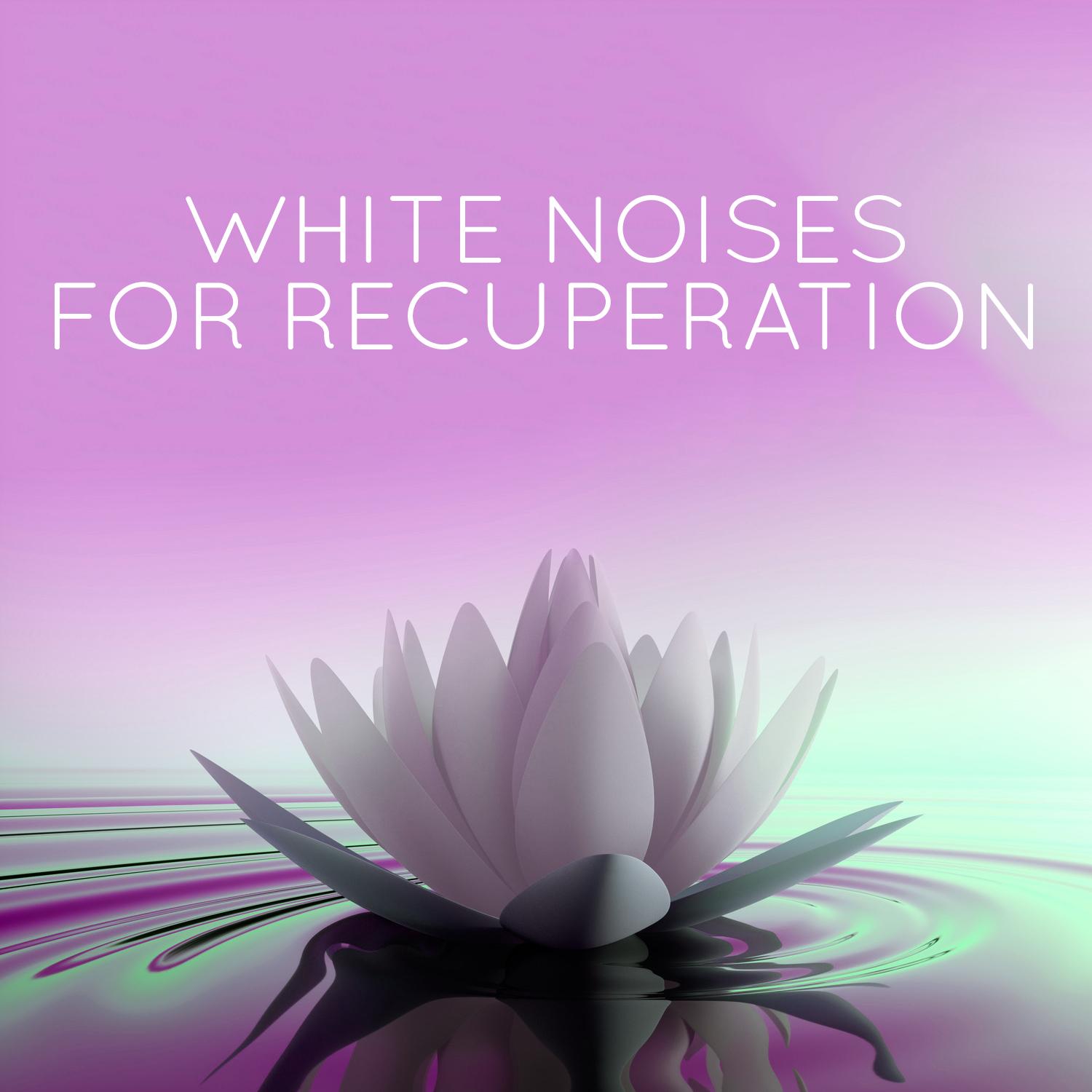 White Noise: Fan Revolutions