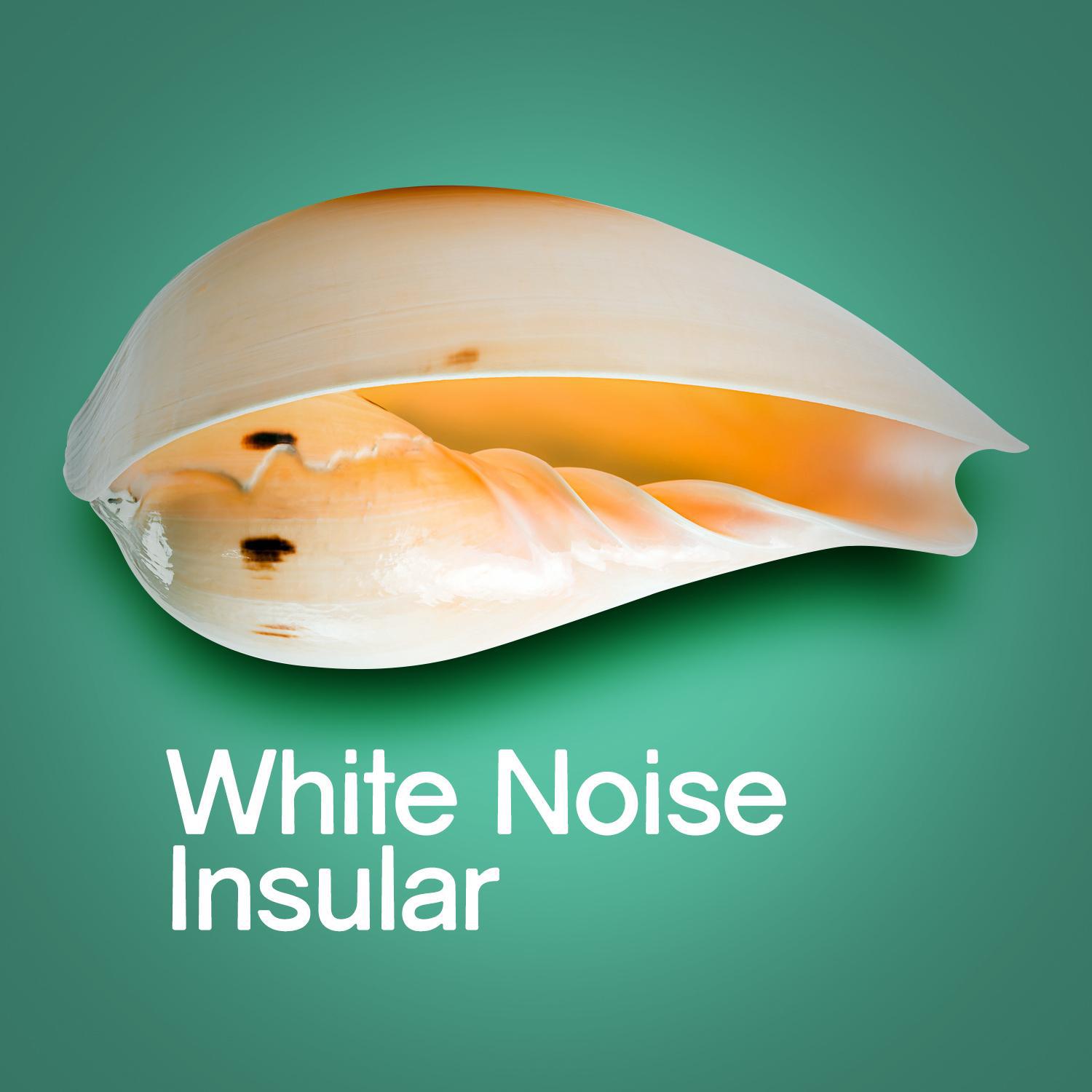 White Noise: Insular