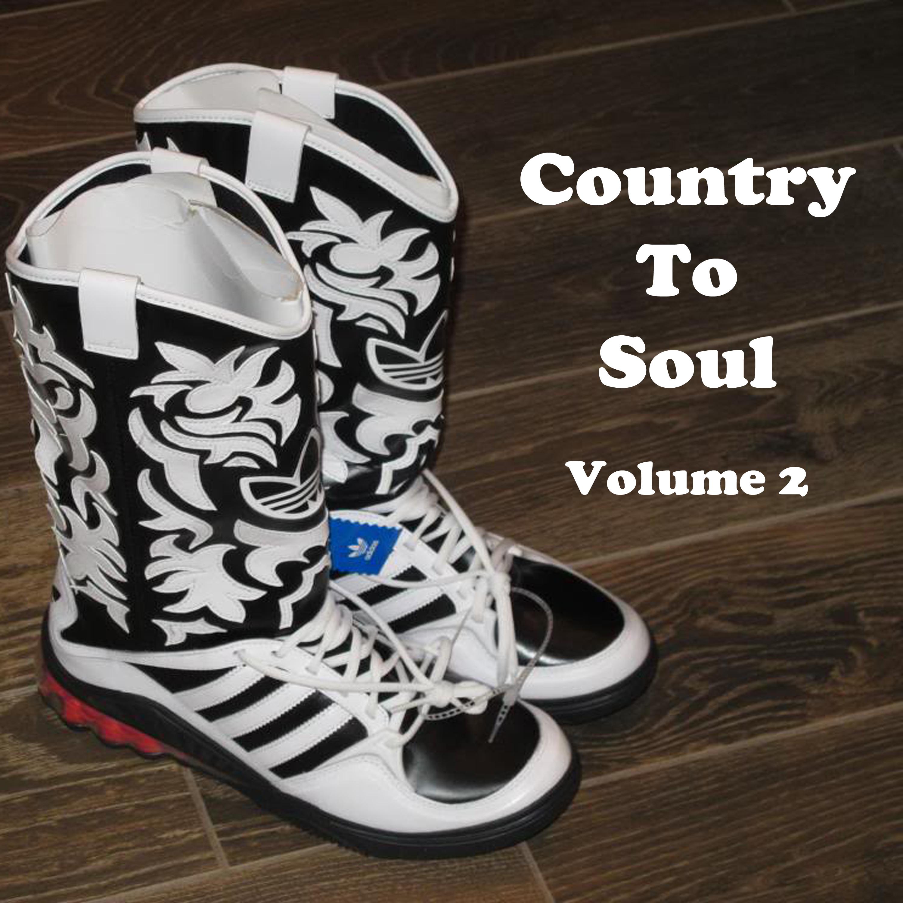Country to Soul Vol. 2