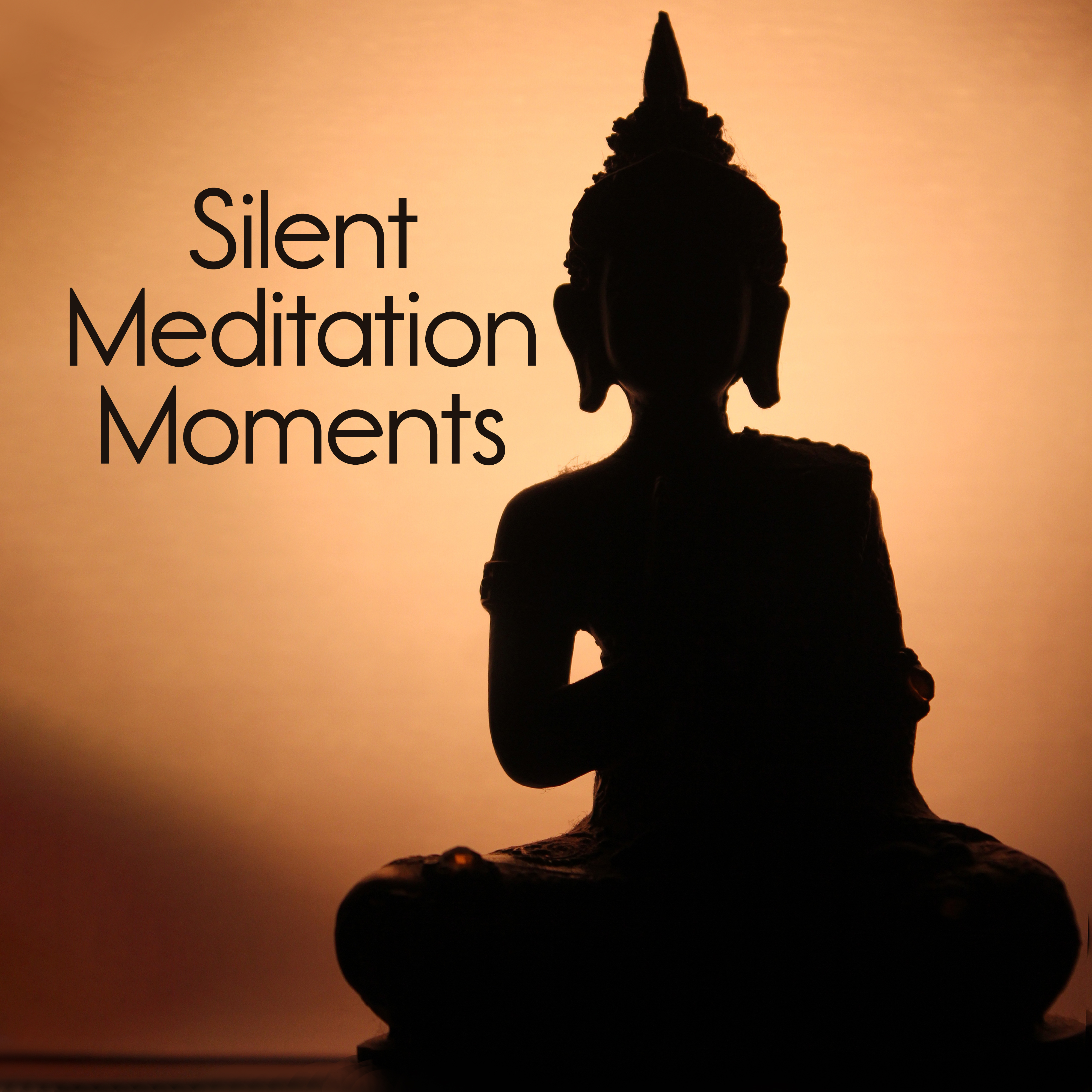 Silent Meditation Moments: New Age Healing Yoga Music, Sacred Zen Mantra, Meditation Time