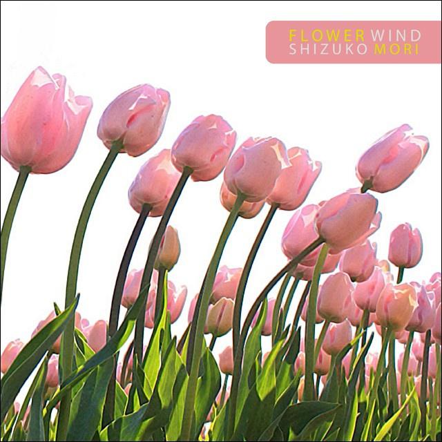 Flower Wind