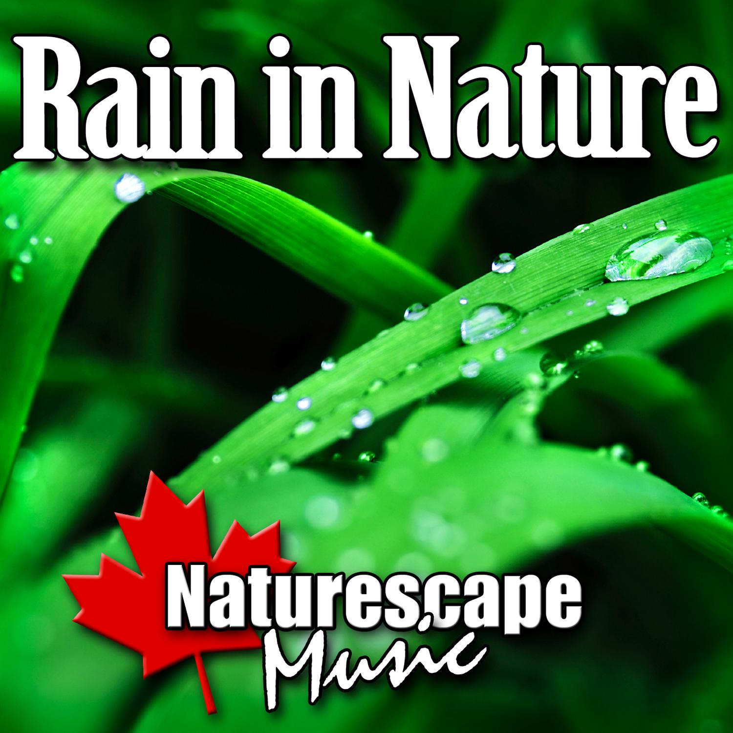 Rain in Nature (Nature Sound with Music)