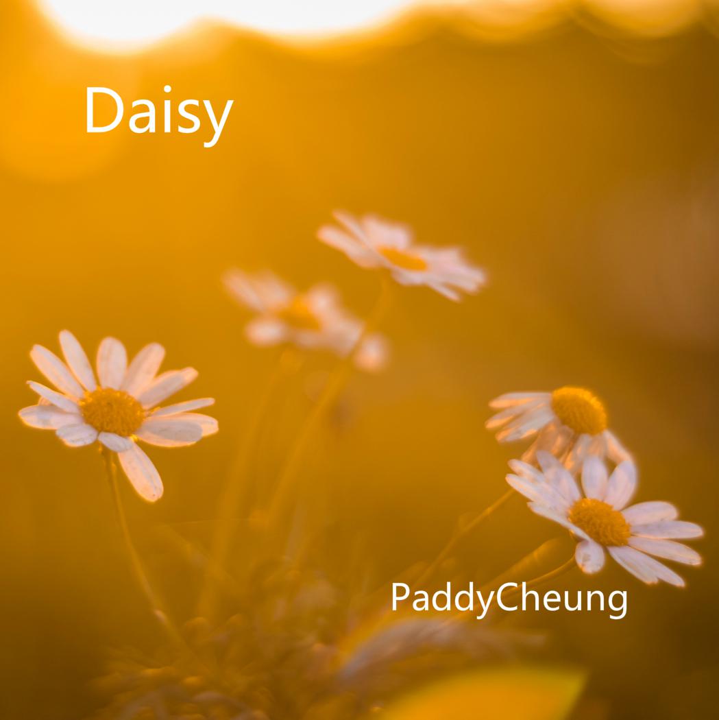 Daisy