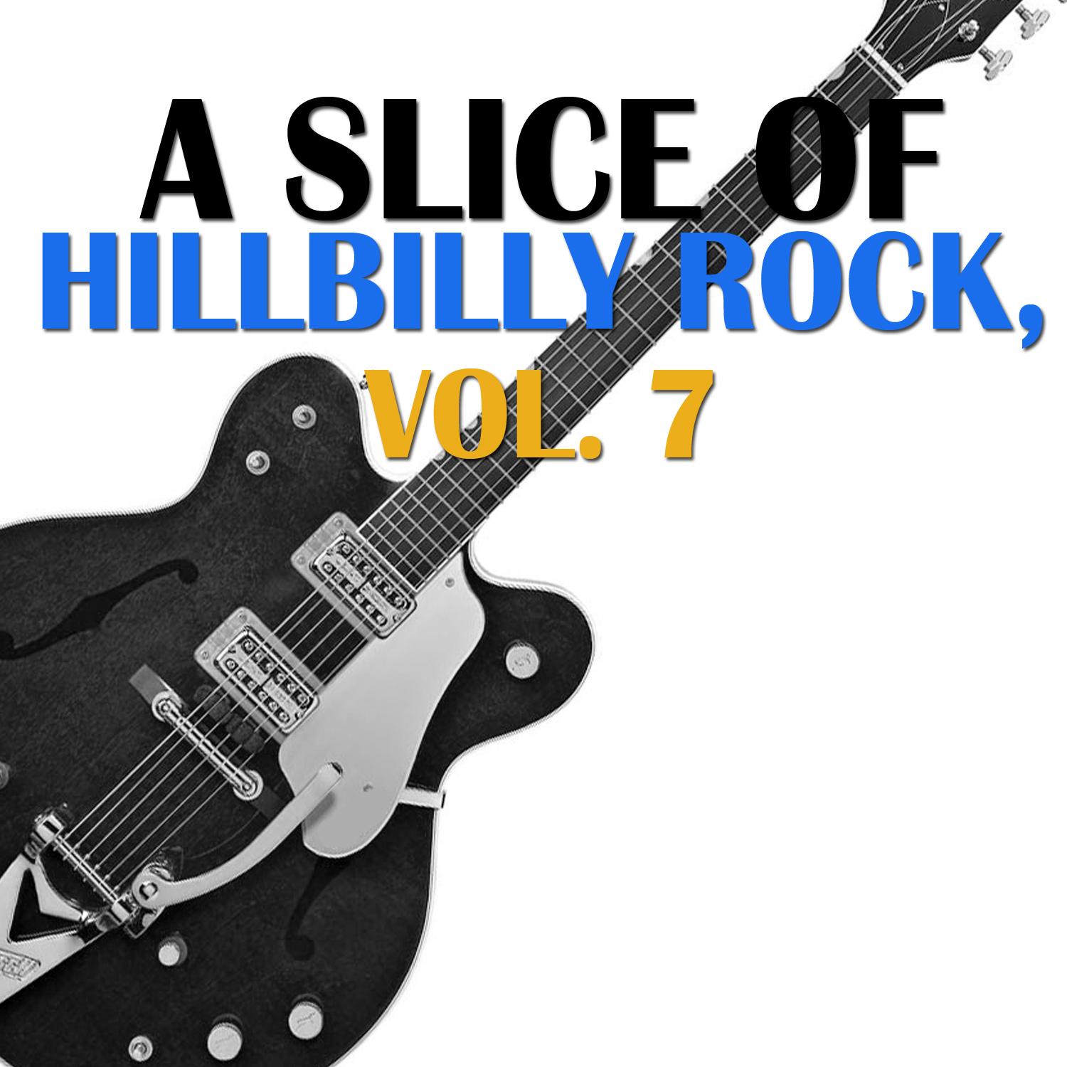 A Slice of Hillbilly Rock, Vol. 7