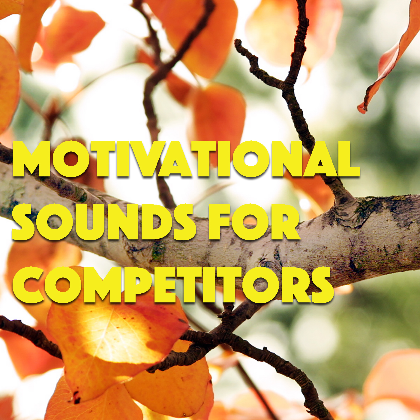 Motivational Sounds For Competitors