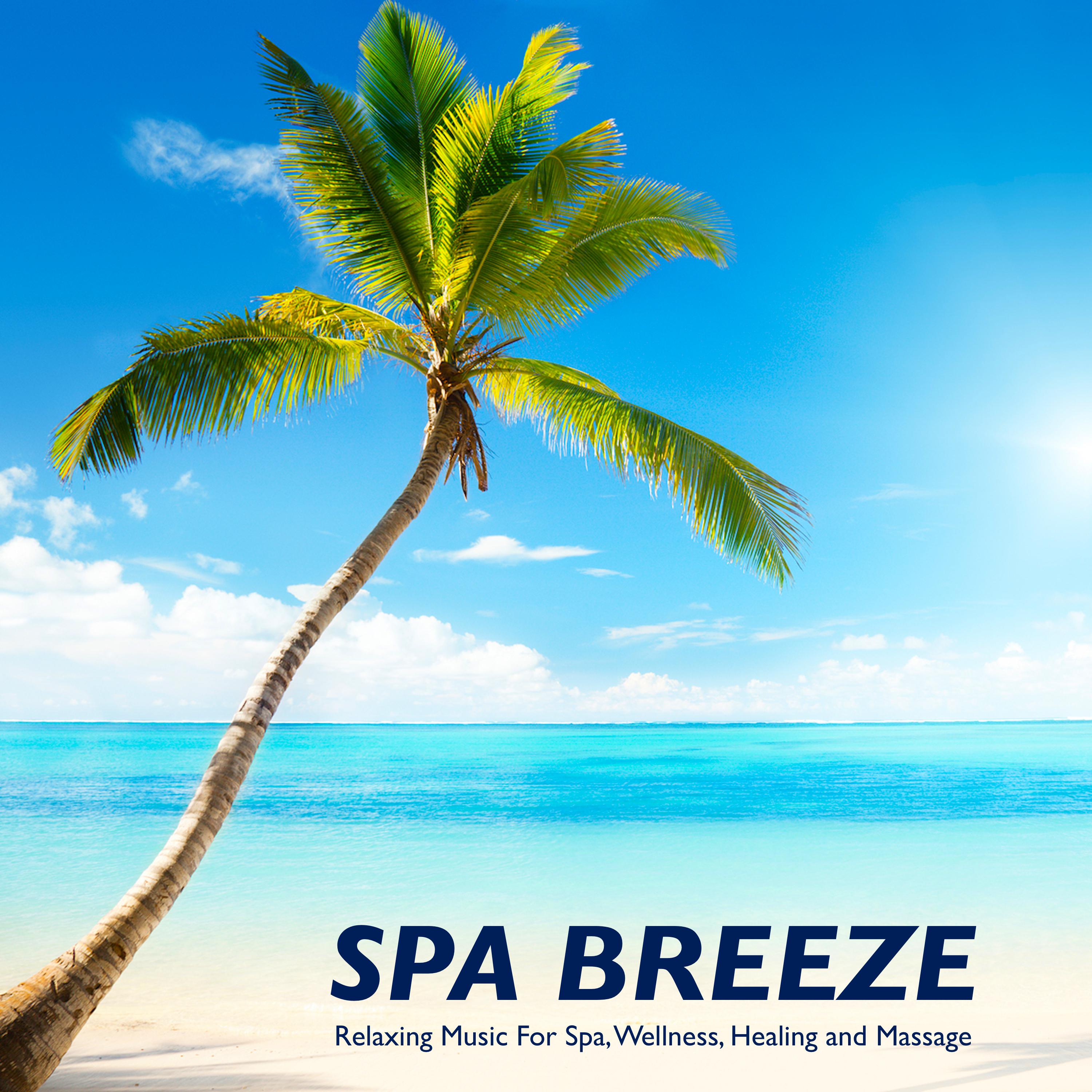 Spa Breeze: Relaxing Music For Spa, Wellness, Healing and Massage