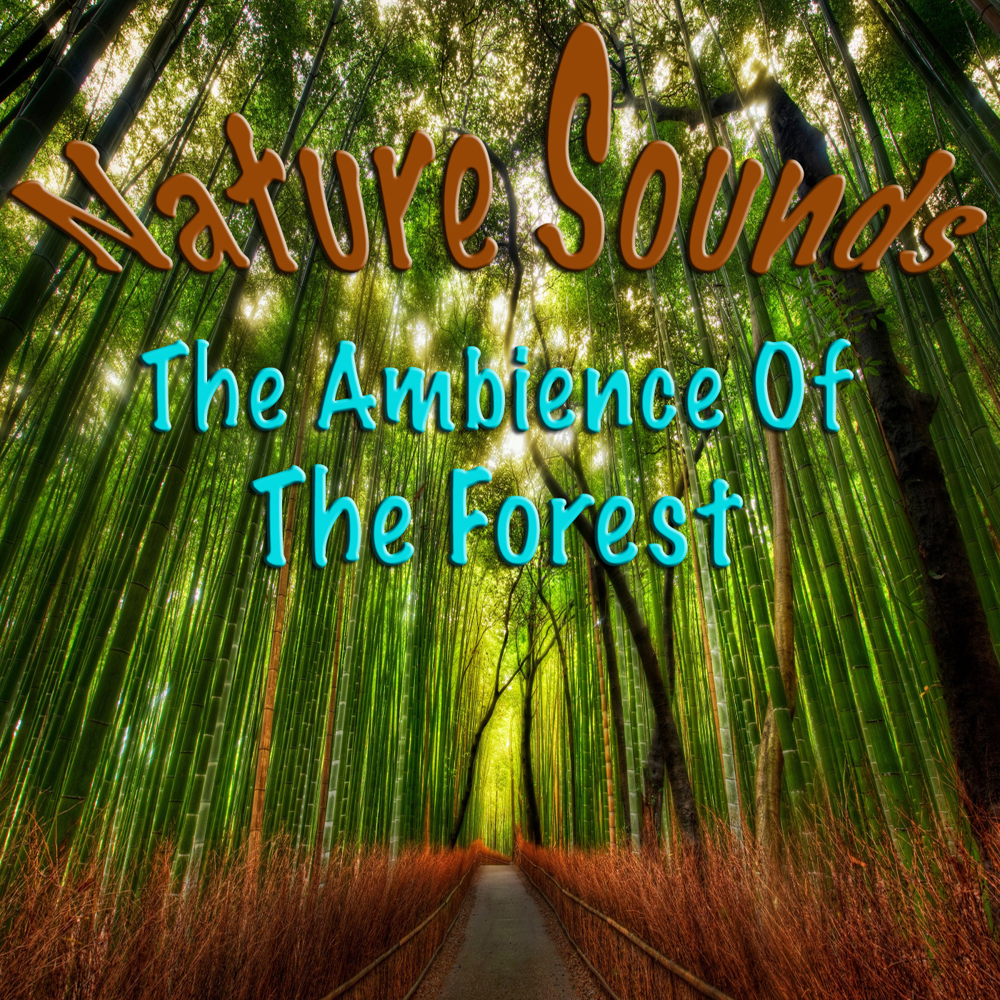 Nature Sounds - The Ambience Of The Forest