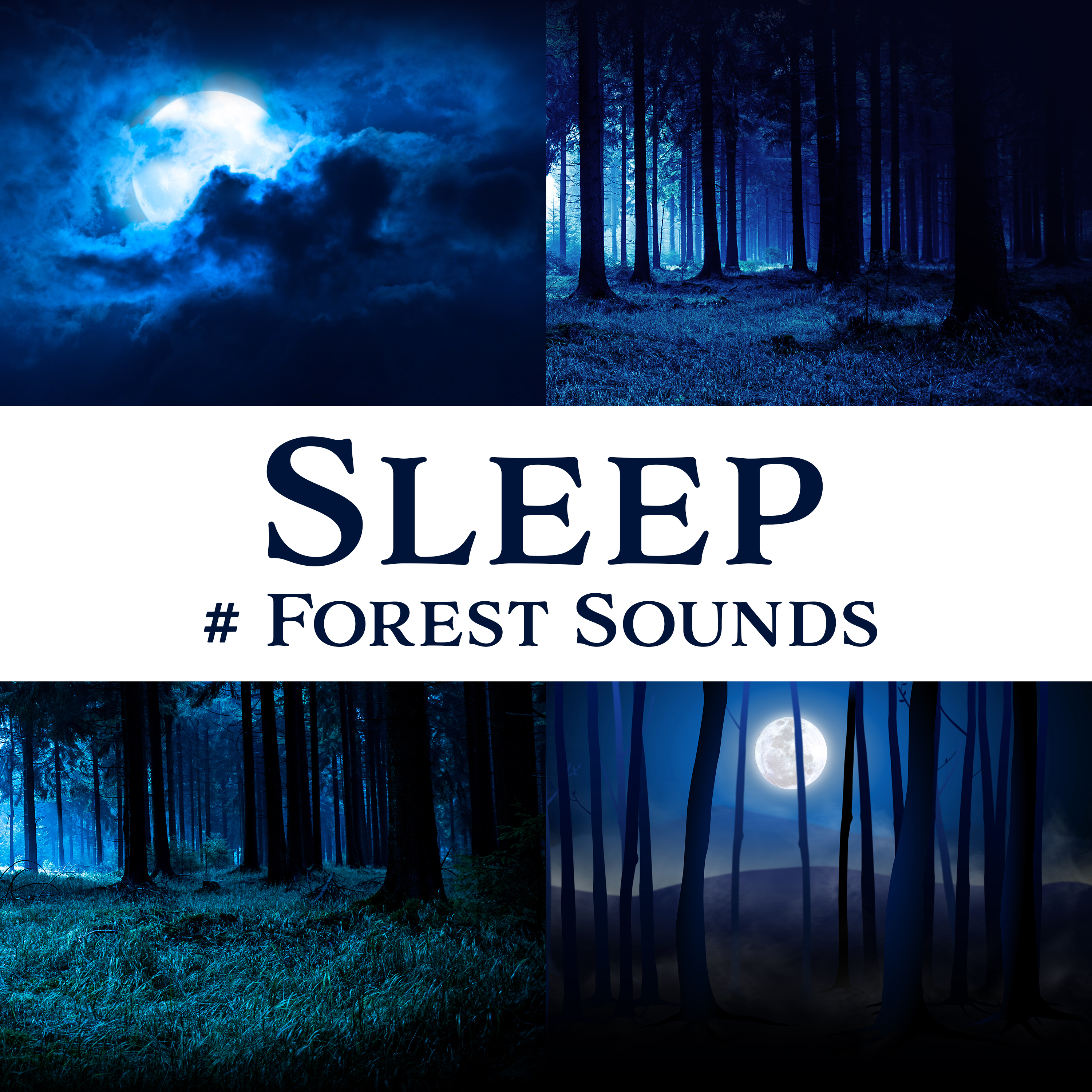 Hypnotic Sounds of Forest