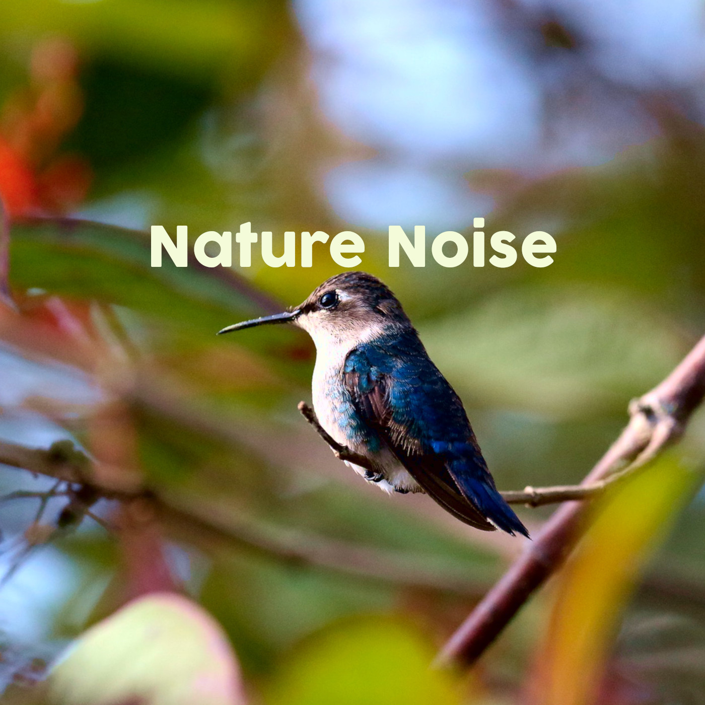 Nature Noise