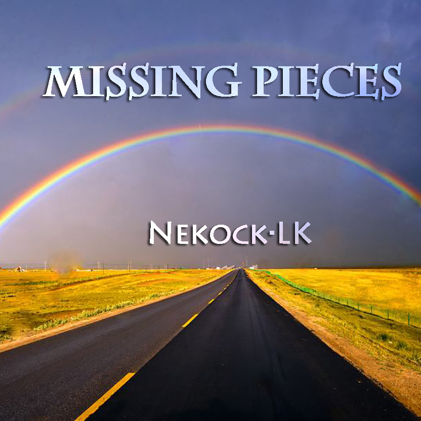 Missing  Pieces