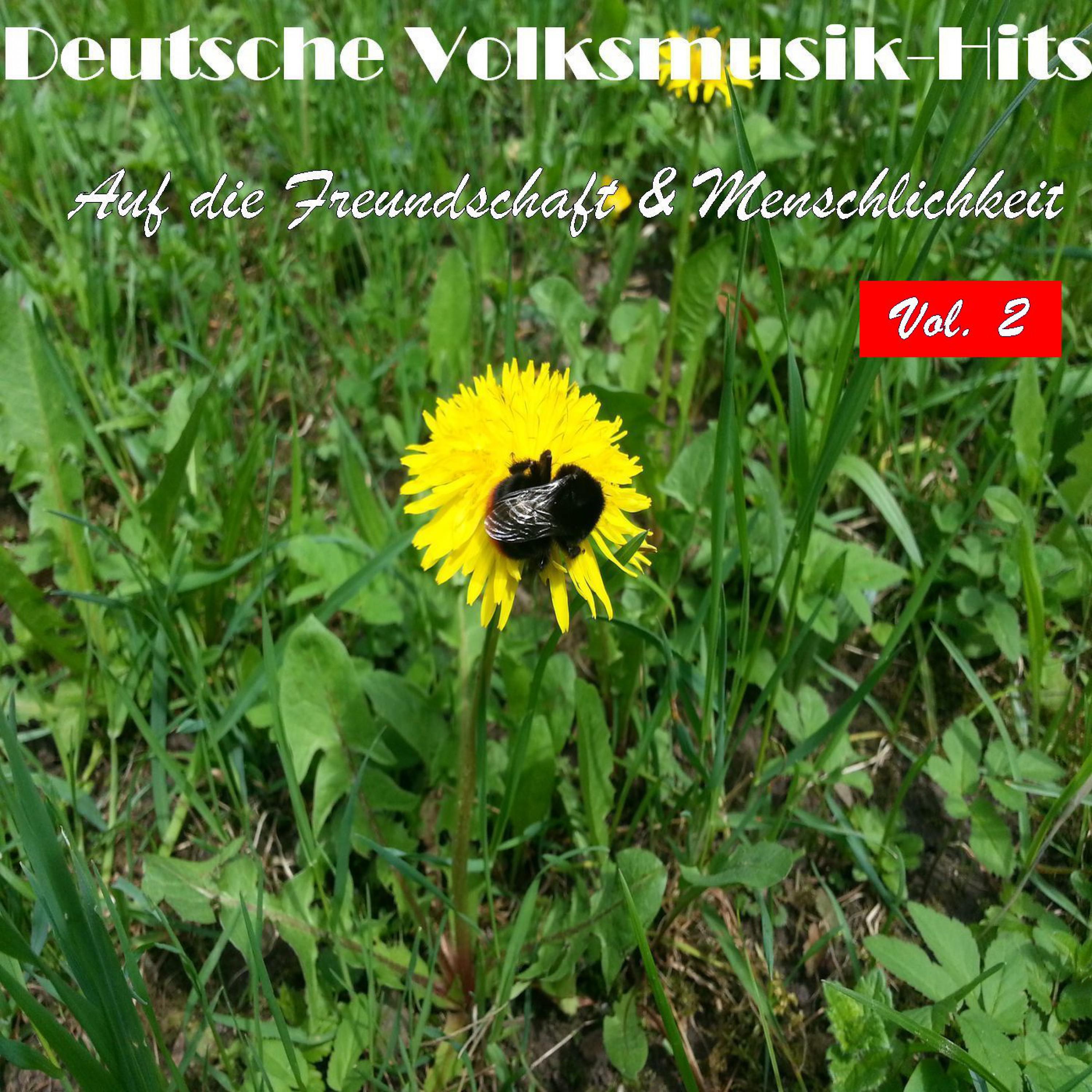 Deutsche Volksmusik Hits - Auf die Freundschaft & Menschlichkeit, Vol. 2