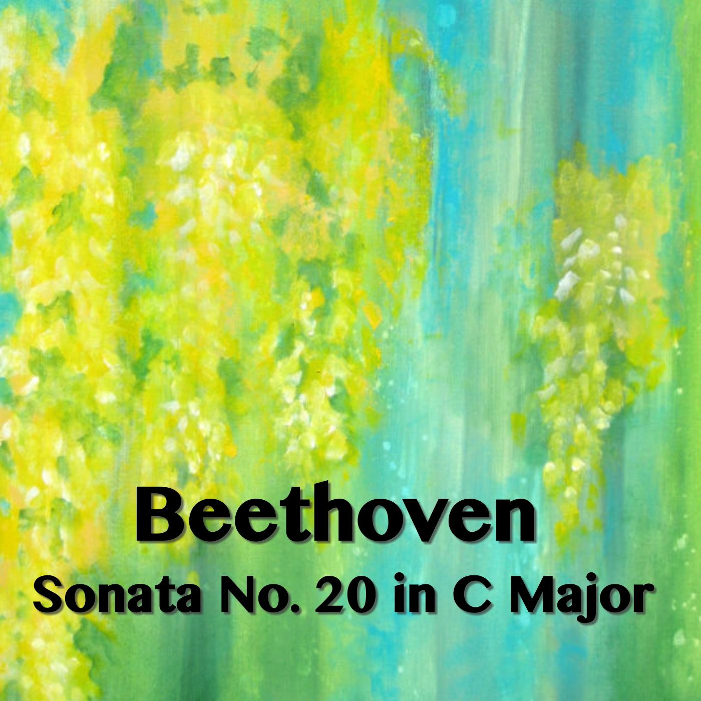 Sonata No. 20 in C major: II