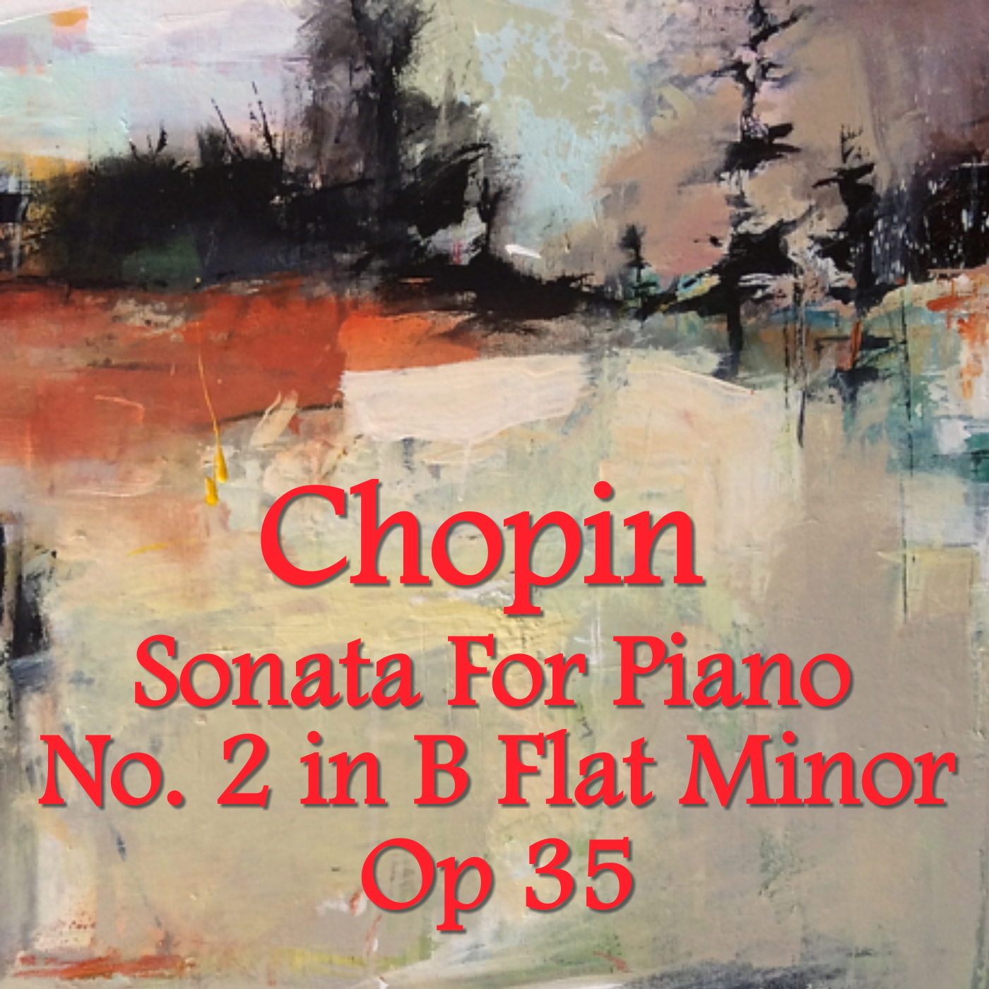 Chopin Sonata for Piano No. 2 in B flat minor Op 35 - 2 - Piano Solo Valery Vishnevsky