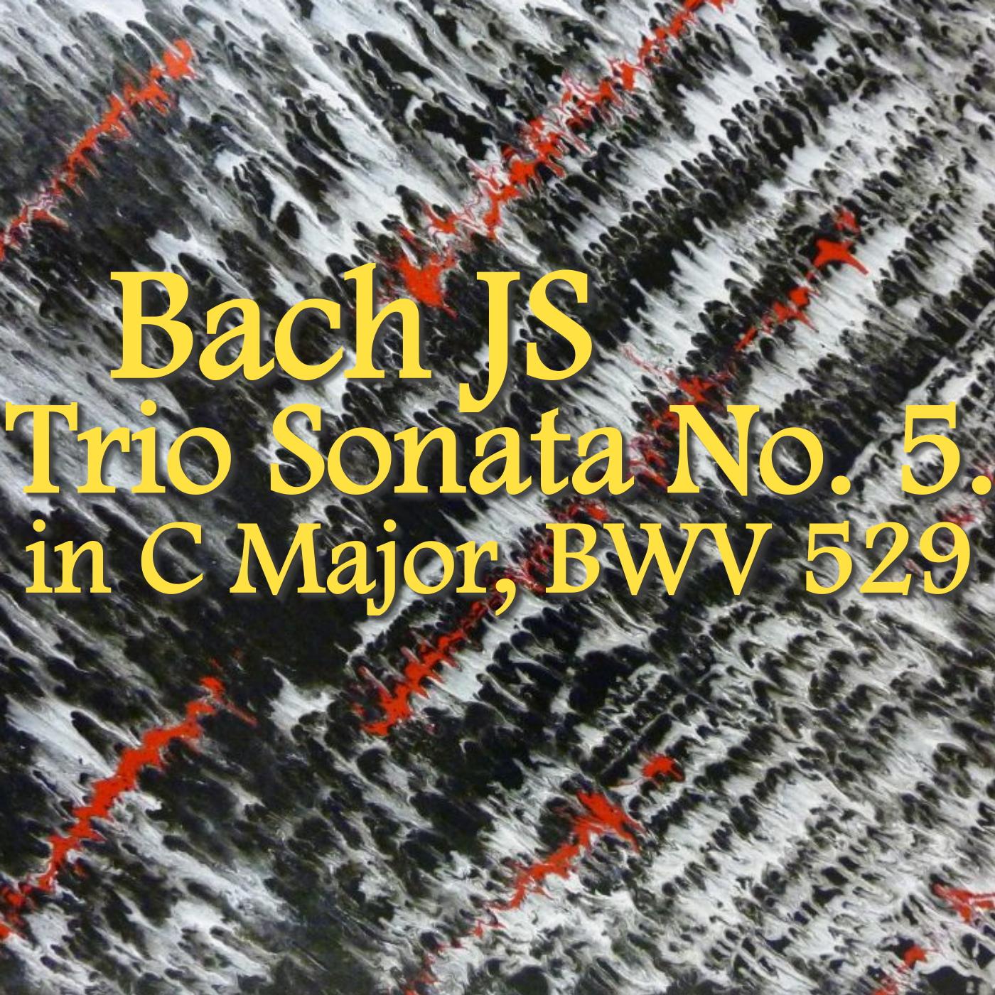 Trio Sonata No. 5 in C major, BWV 529: I