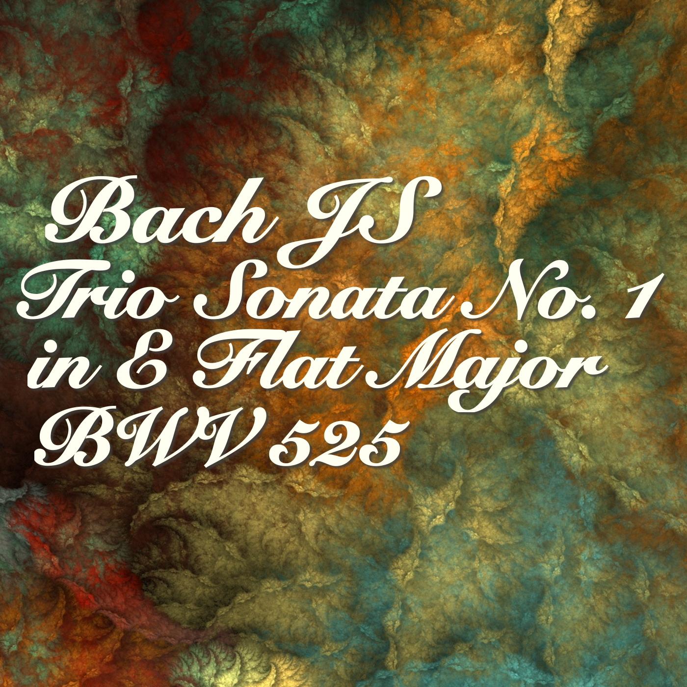 Bach JS Trio Sonata No. 1 in E Flat Major, BWV. 525