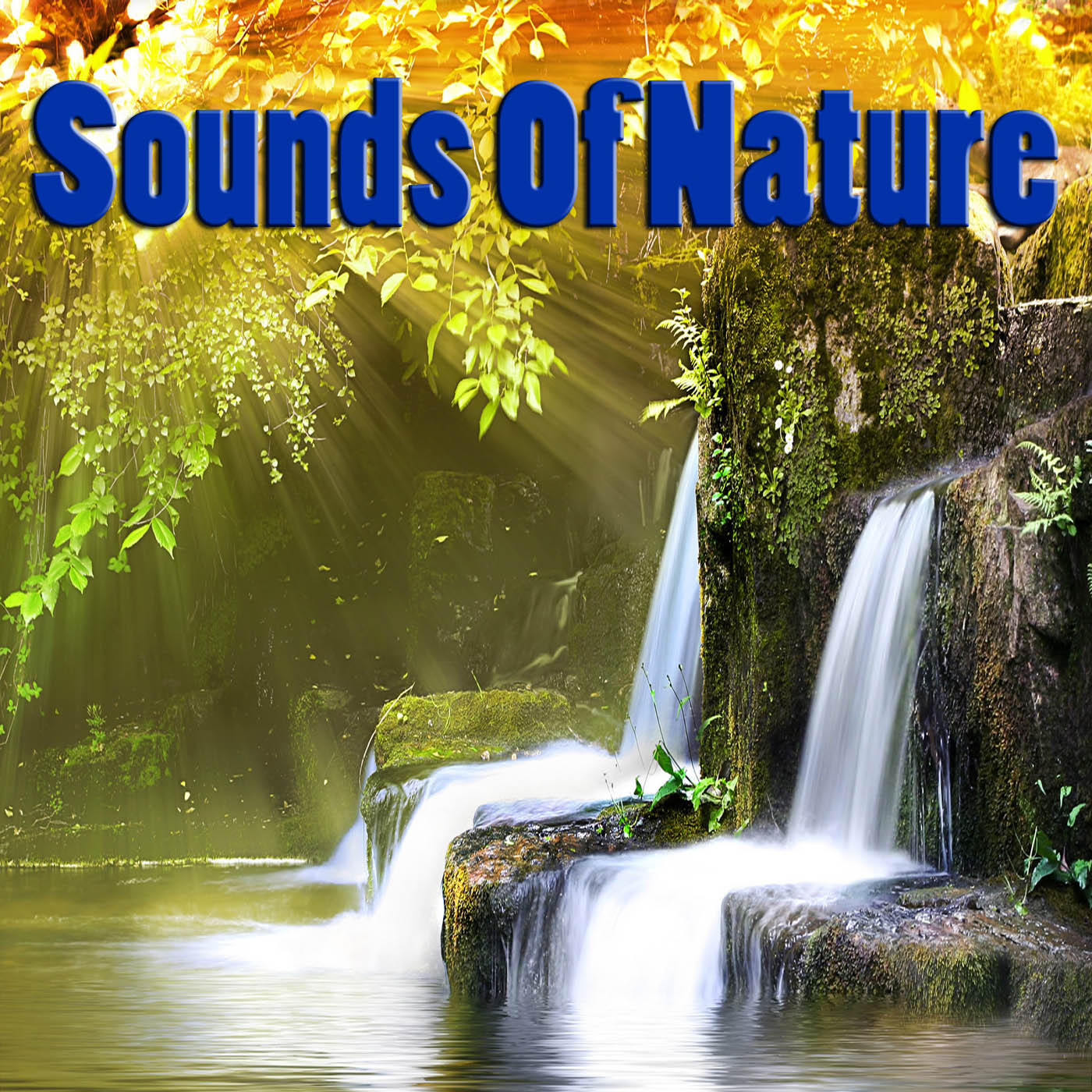 Sounds Of Nature