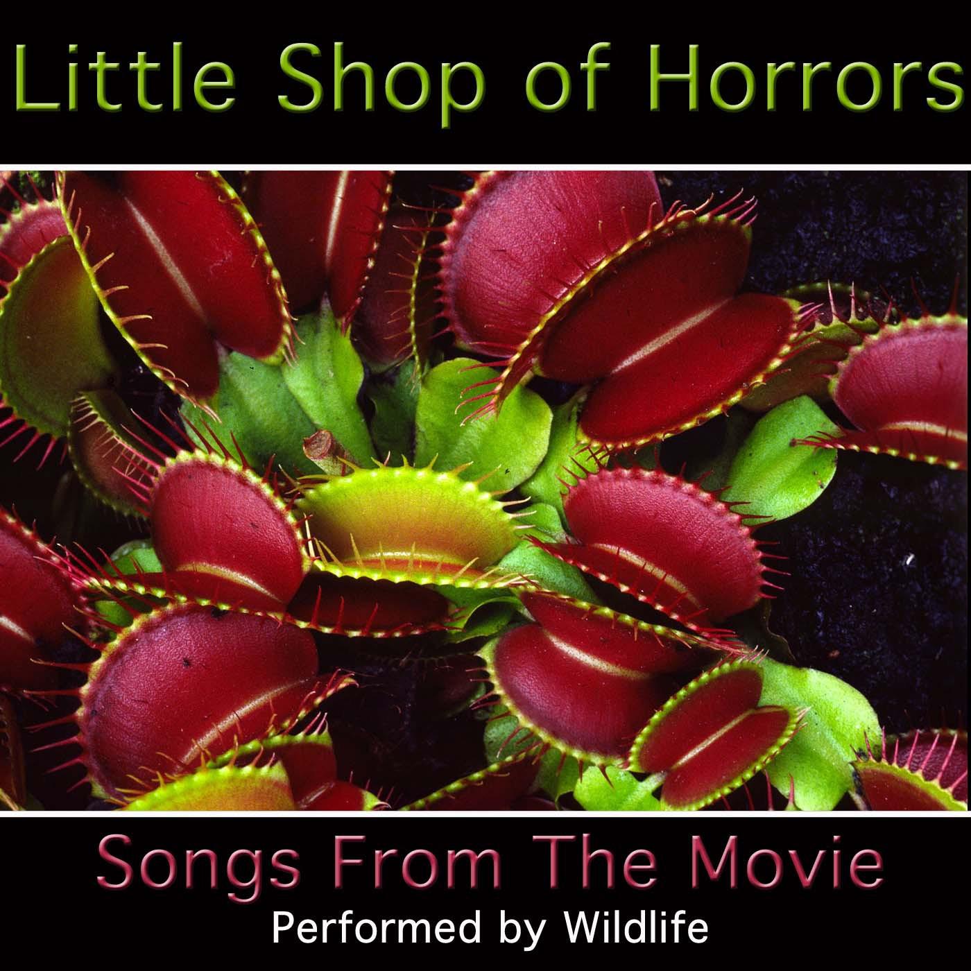 Little Shop Of Horrors Songs From The Movie Performed By Wildlife