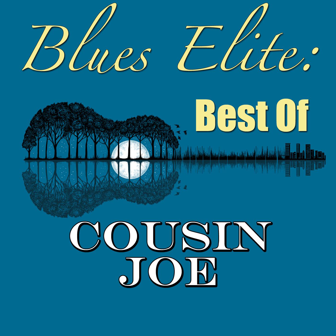 Blues Elite: Best Of Cousin Joe (Live)