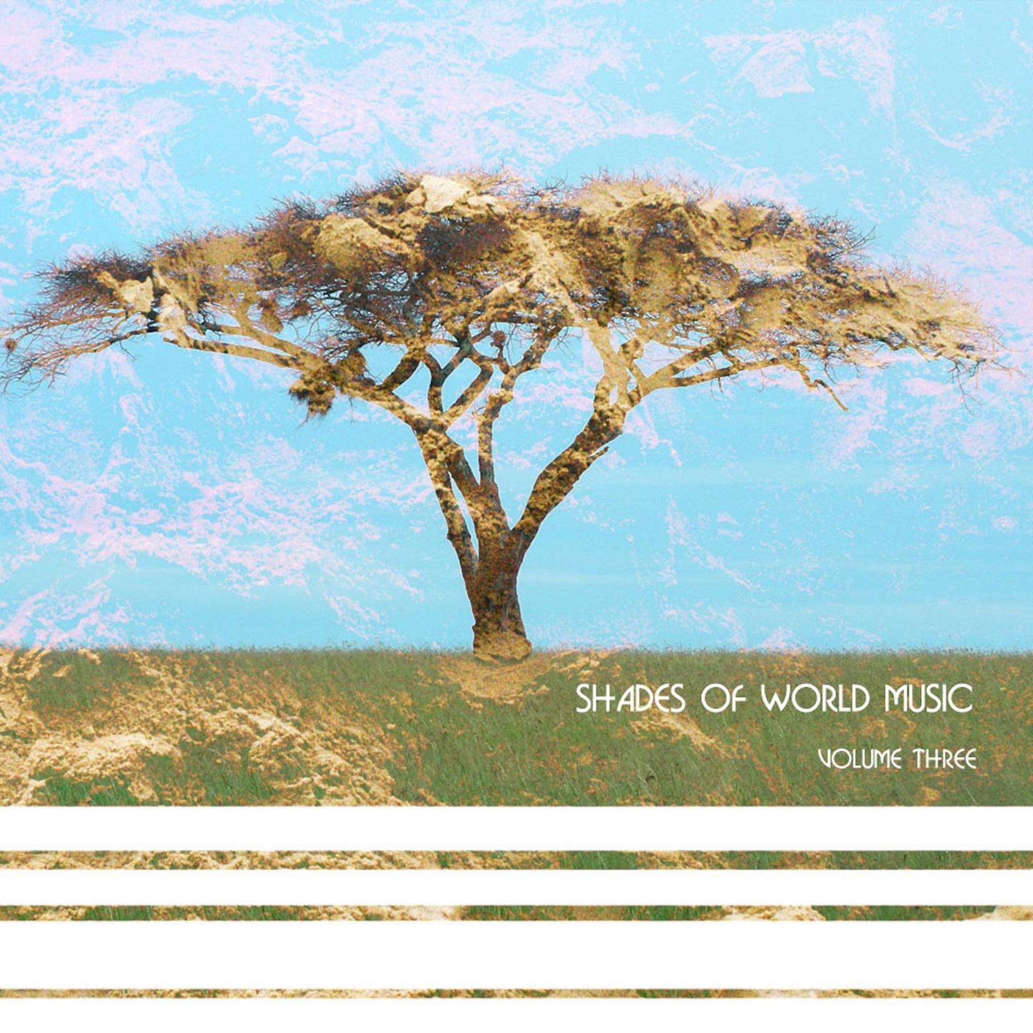 Shades of World Music Vol, 3