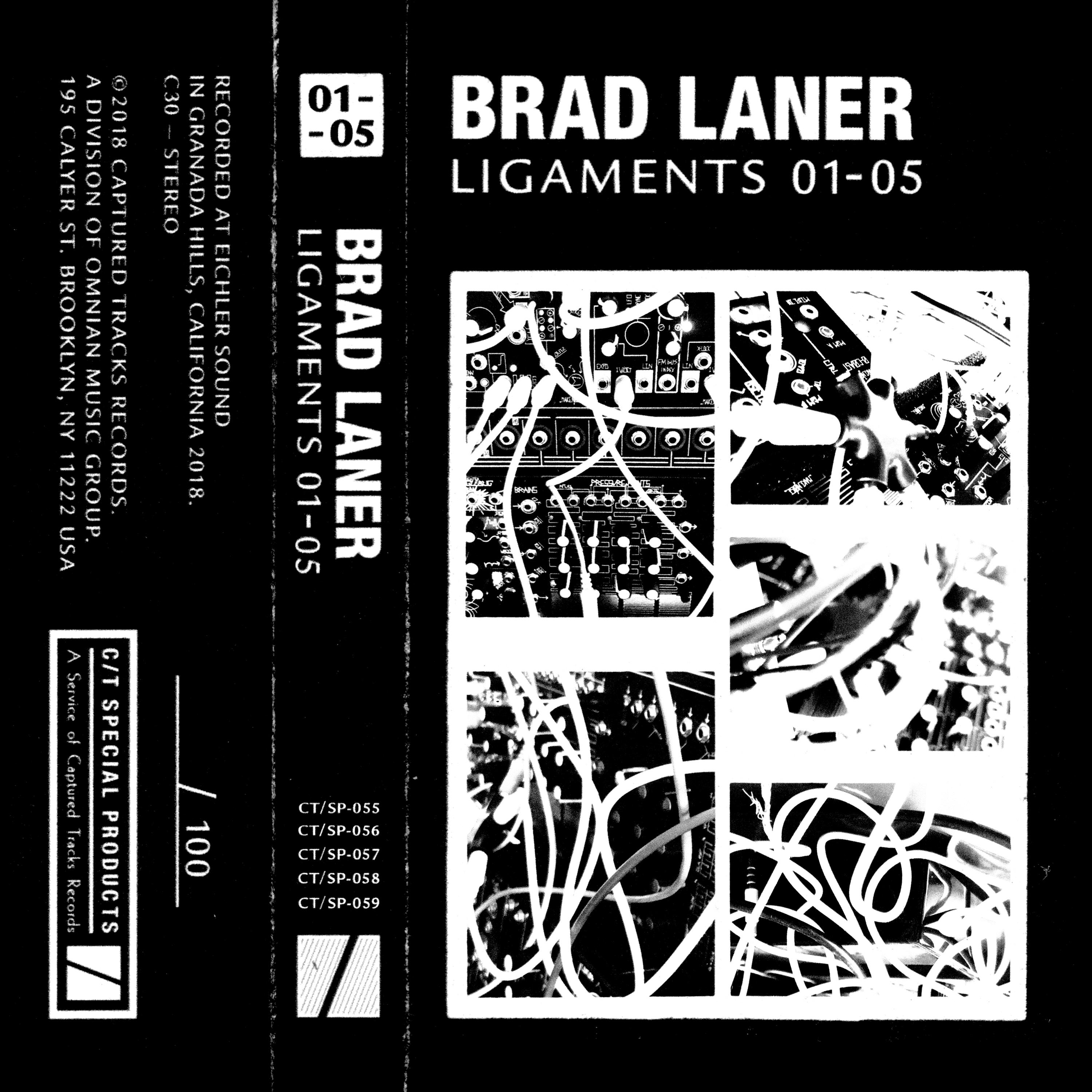 Ligaments 01  05