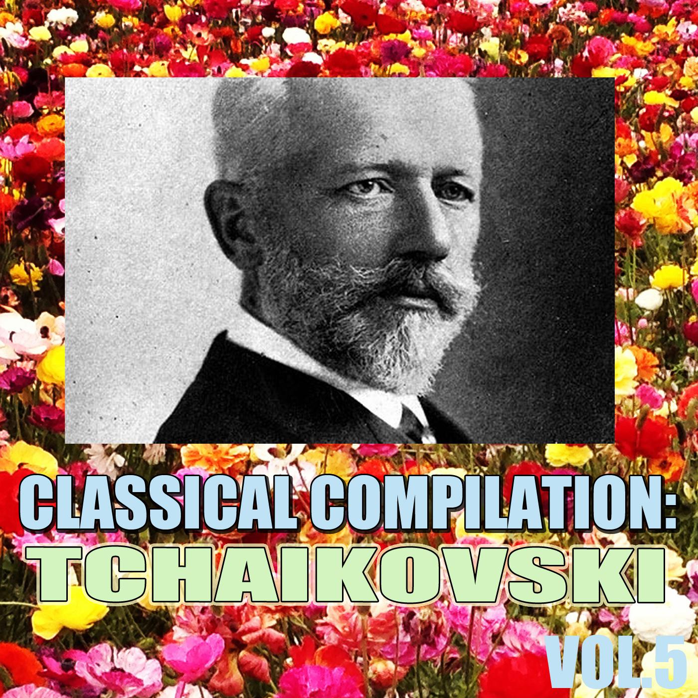 Classical Compilation: Tchaikovski, Vol.5