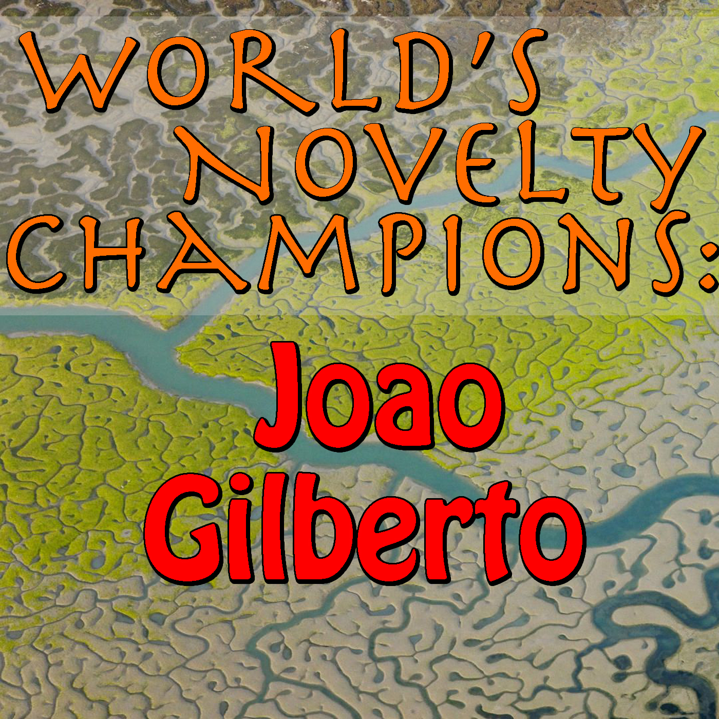 World's Novelty Champions: Joao Gilberto