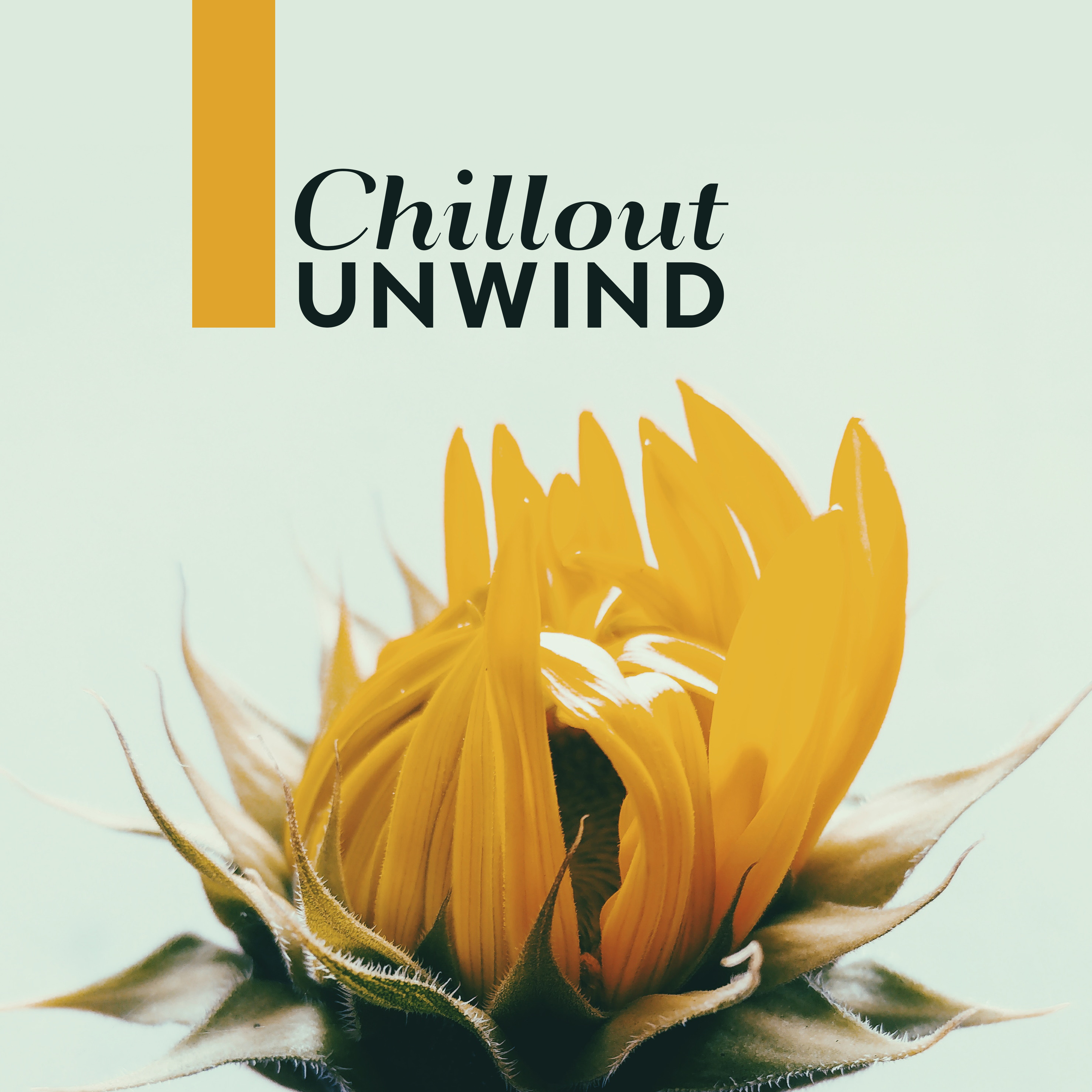 Chillout Unwind: Chill Out and Relax with a Slow, Calm and Relaxed Chillout Music