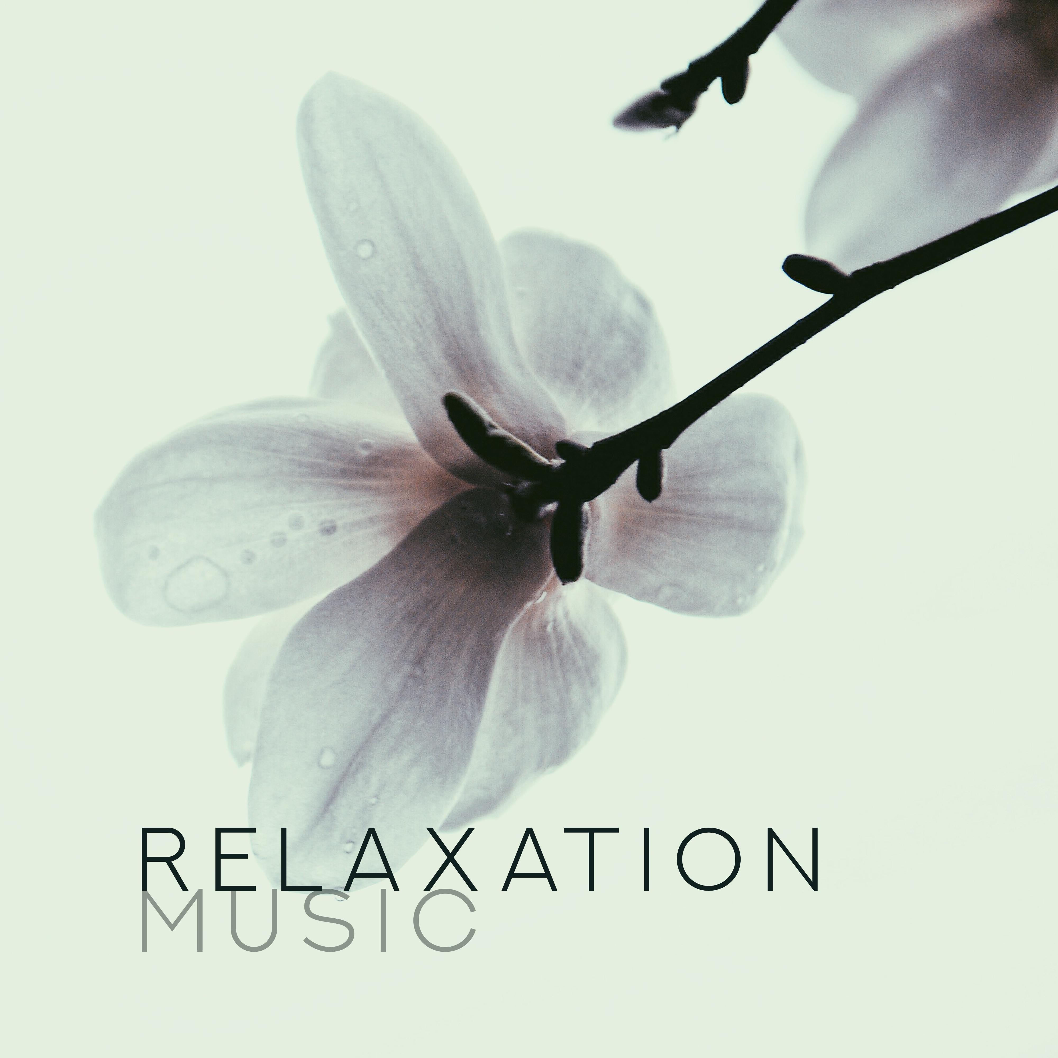 Relaxation Music  Deep Chillout 2019, Pure Mind, Zero Stress, Coffee Chillout, Relaxing Vibes, Deeper Sleep