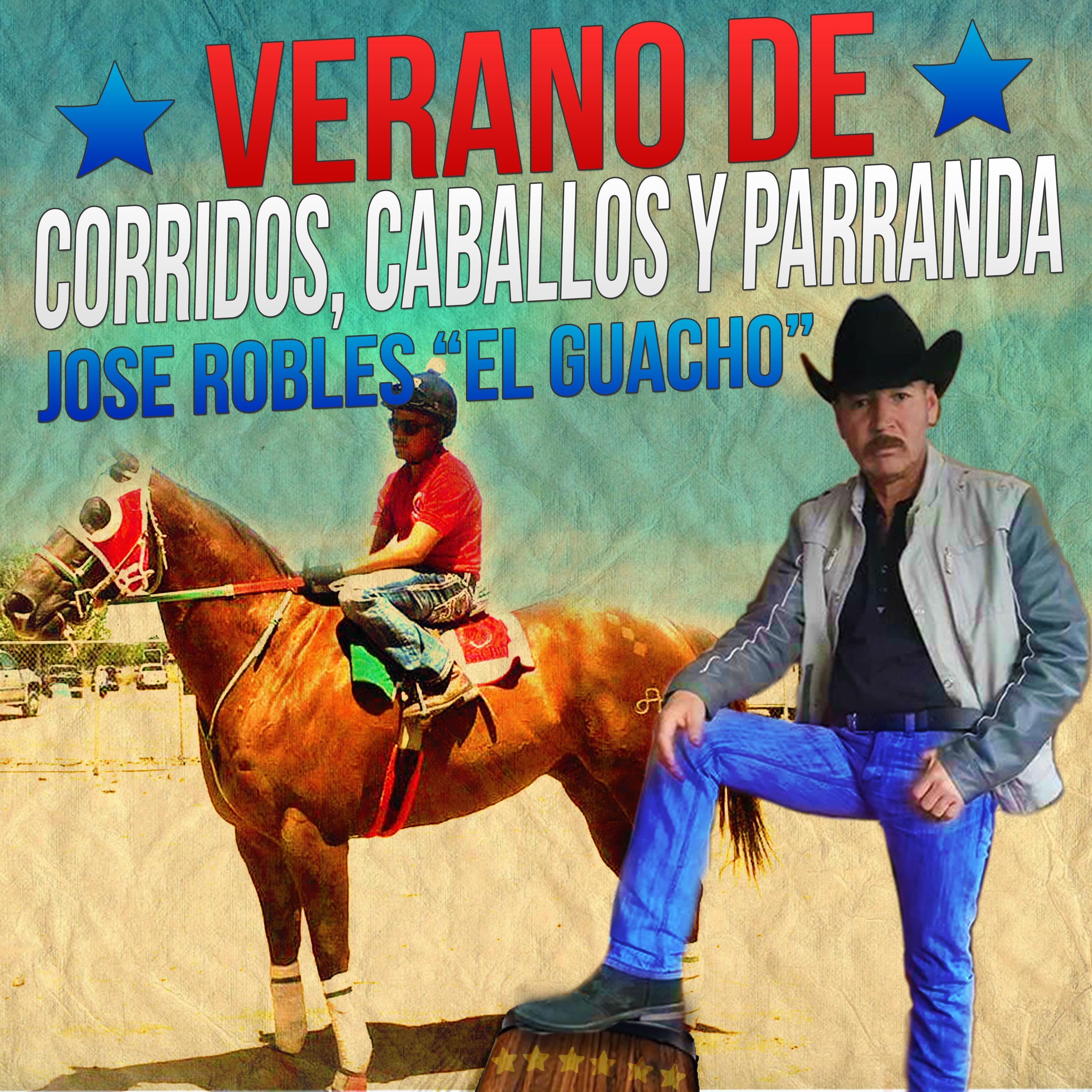 Verano de Corridos, Caballos Y Parranda