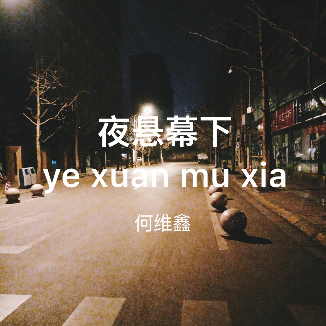 ye xuan mu xia