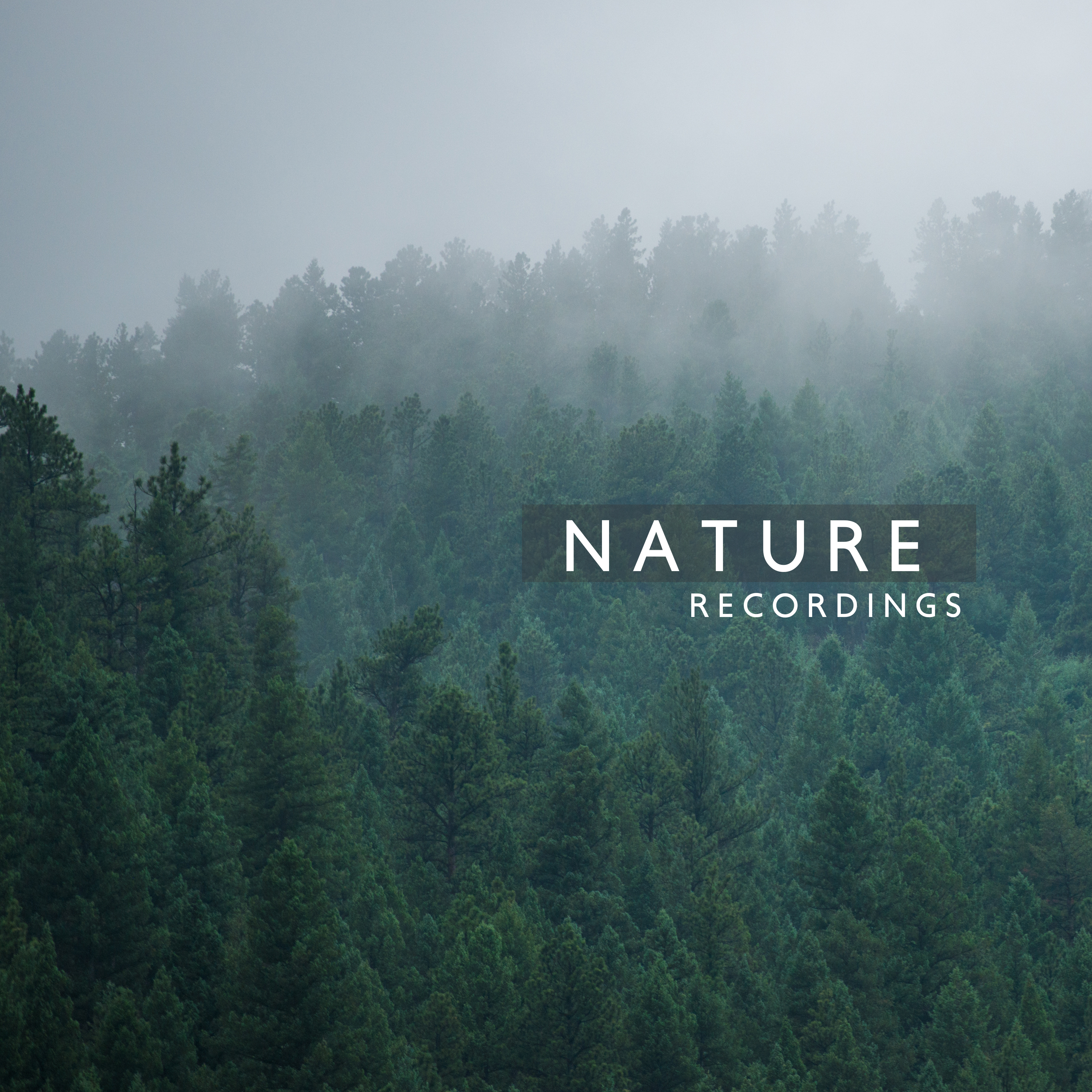 Nature Recordings  Calming Sounds for Sleep, Relaxation, Inner Harmony, Nature Sounds for Reduce Stress, Deep Meditation, Nature Music