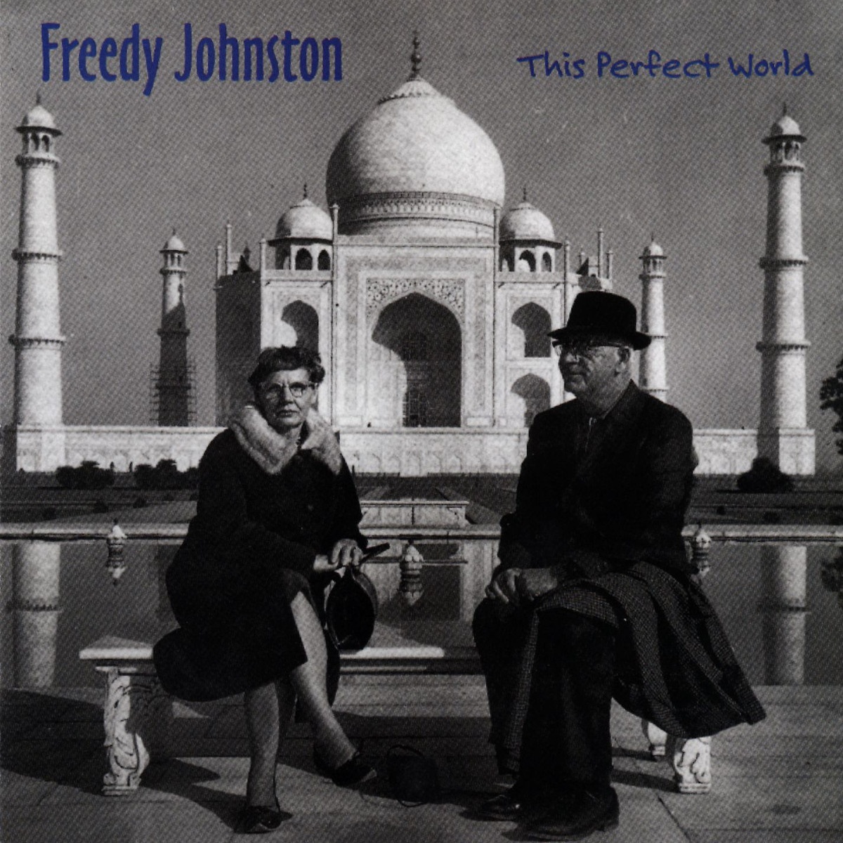 This Perfect World (LP Version)