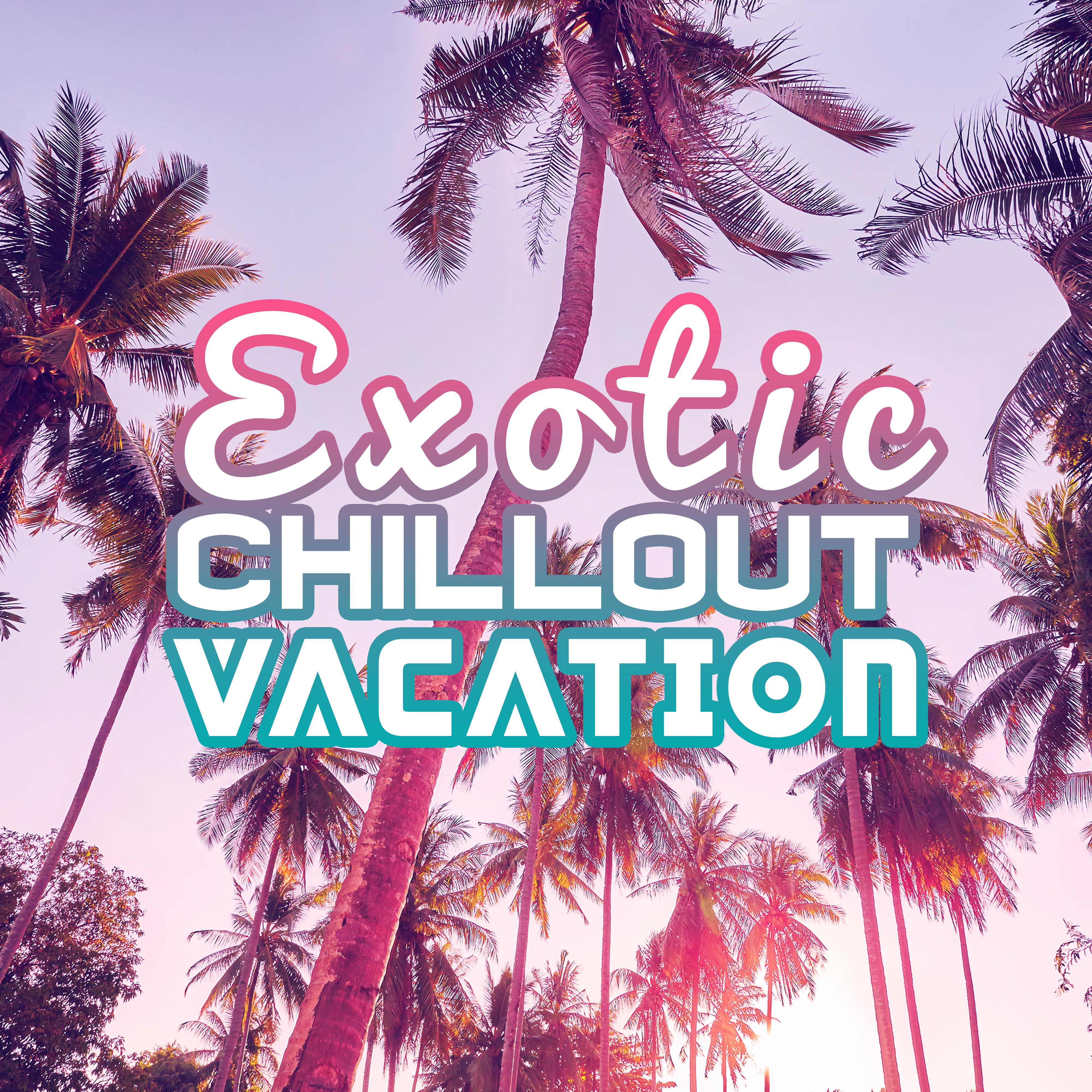 Exotic Chillout Vacation  Sun  Sand Music Compilation, Summer Rest  Relax