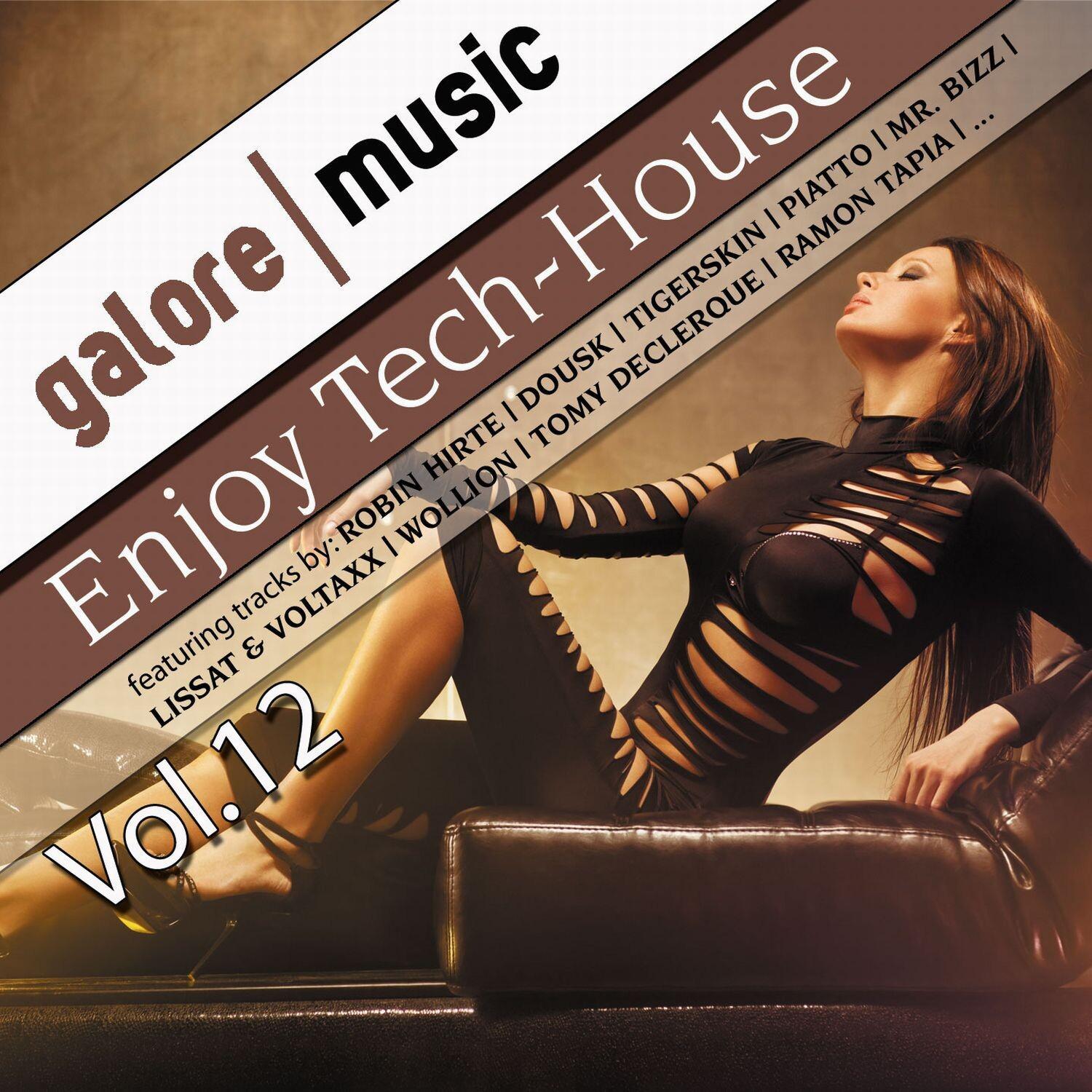 Enjoy Tech-House, Vol. 12