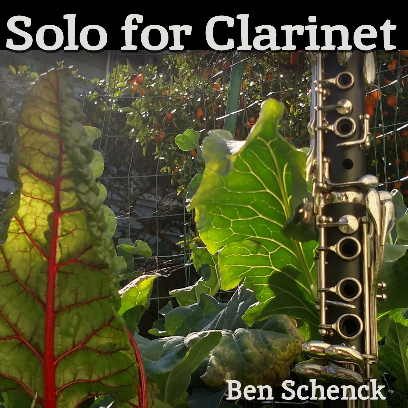 Solo for Clarinet