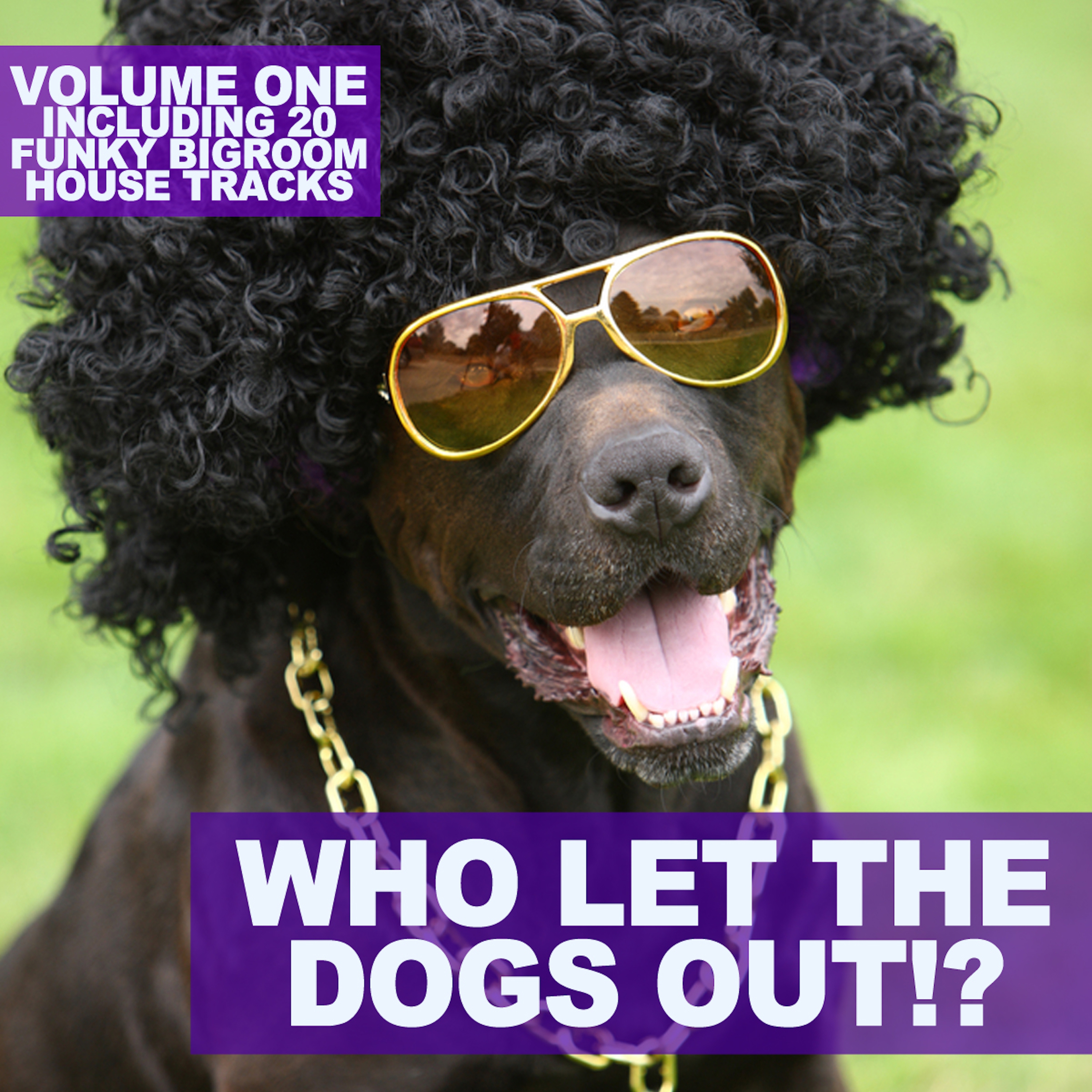 Who Let The Dogs Out? 15 Bigroom House Tracks