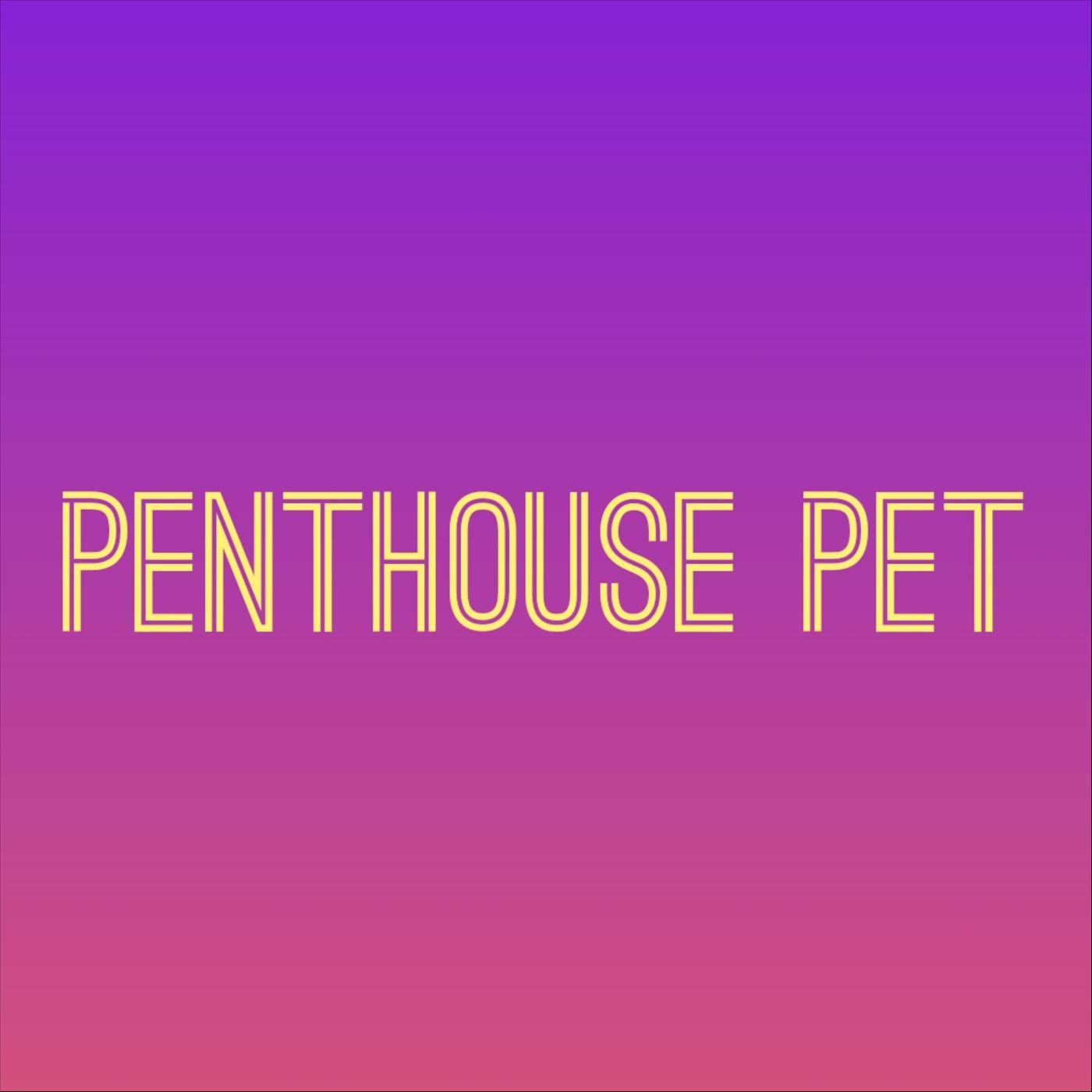 Penthouse Pet