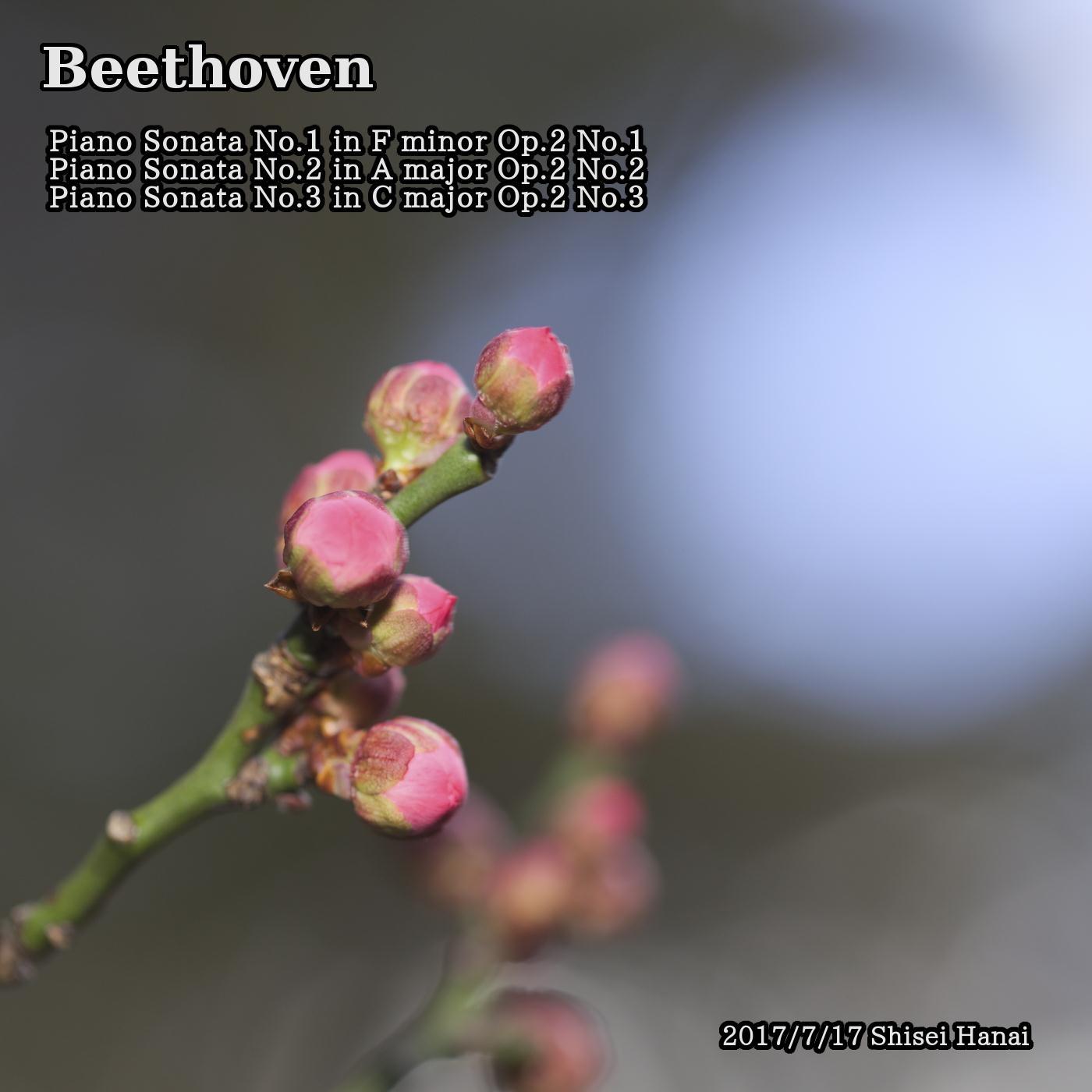 Beethoven: Piano Sonata No. 1, 2, 3