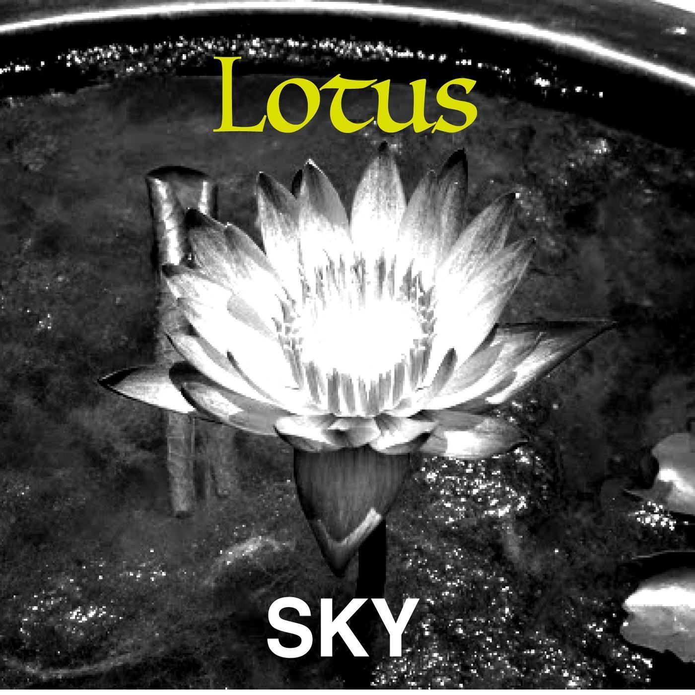 Lotus