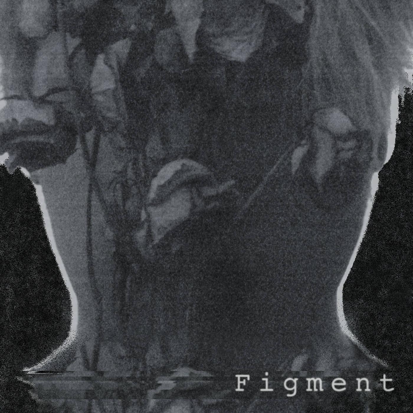 Figment