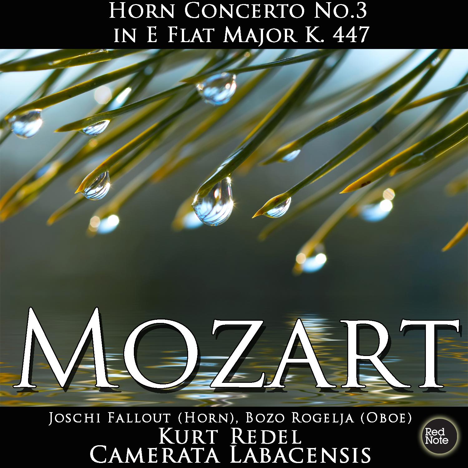 Horn Concerto No.3 in E Flat Major, K. 447: III. Allegro