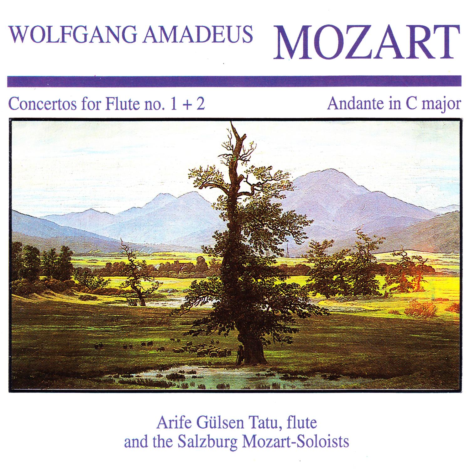 Concerto in G Major for Flute and Orchestra No. 1, K. 313/285c: I. Allegro maestoso