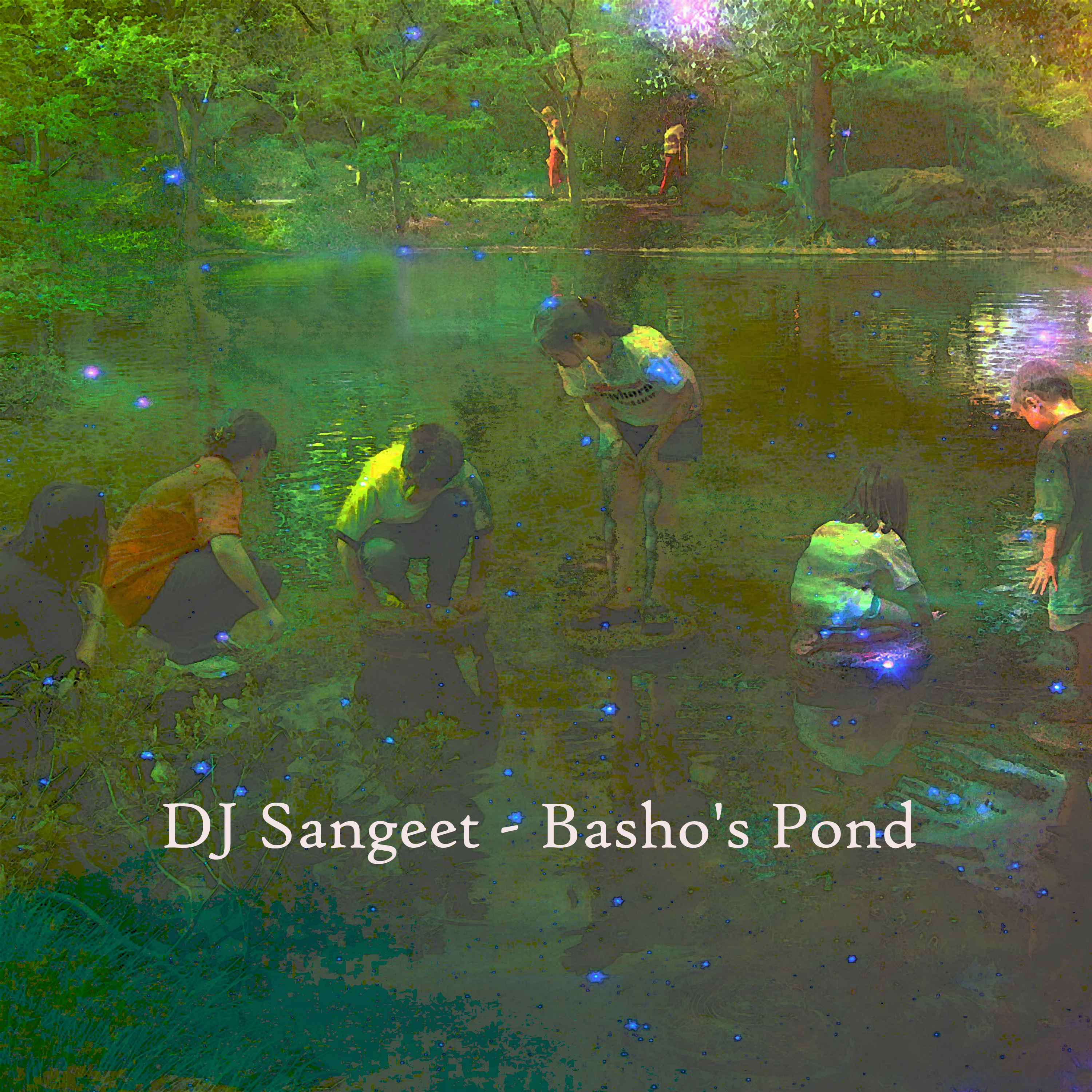 Basho's Pond