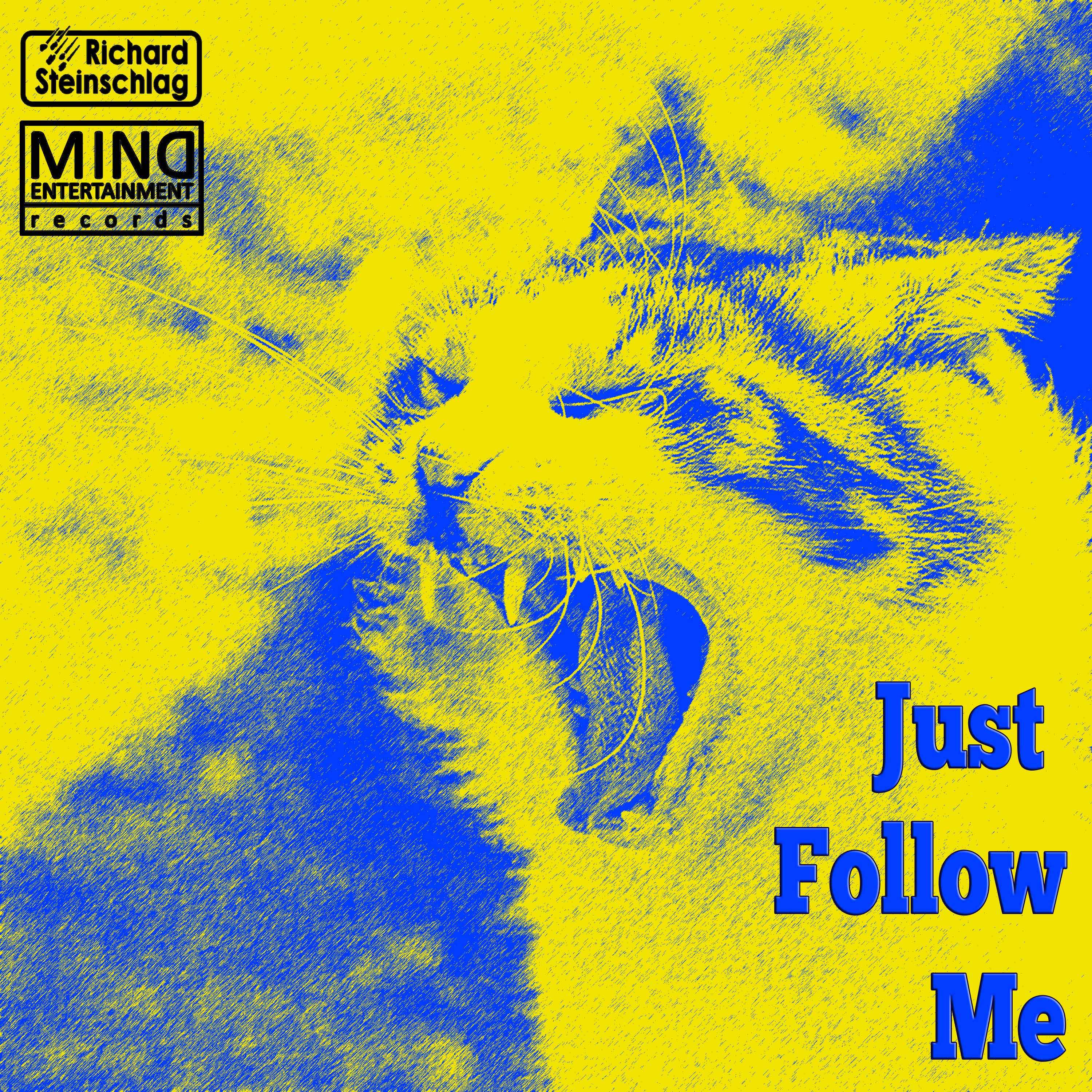 Just Follow Me