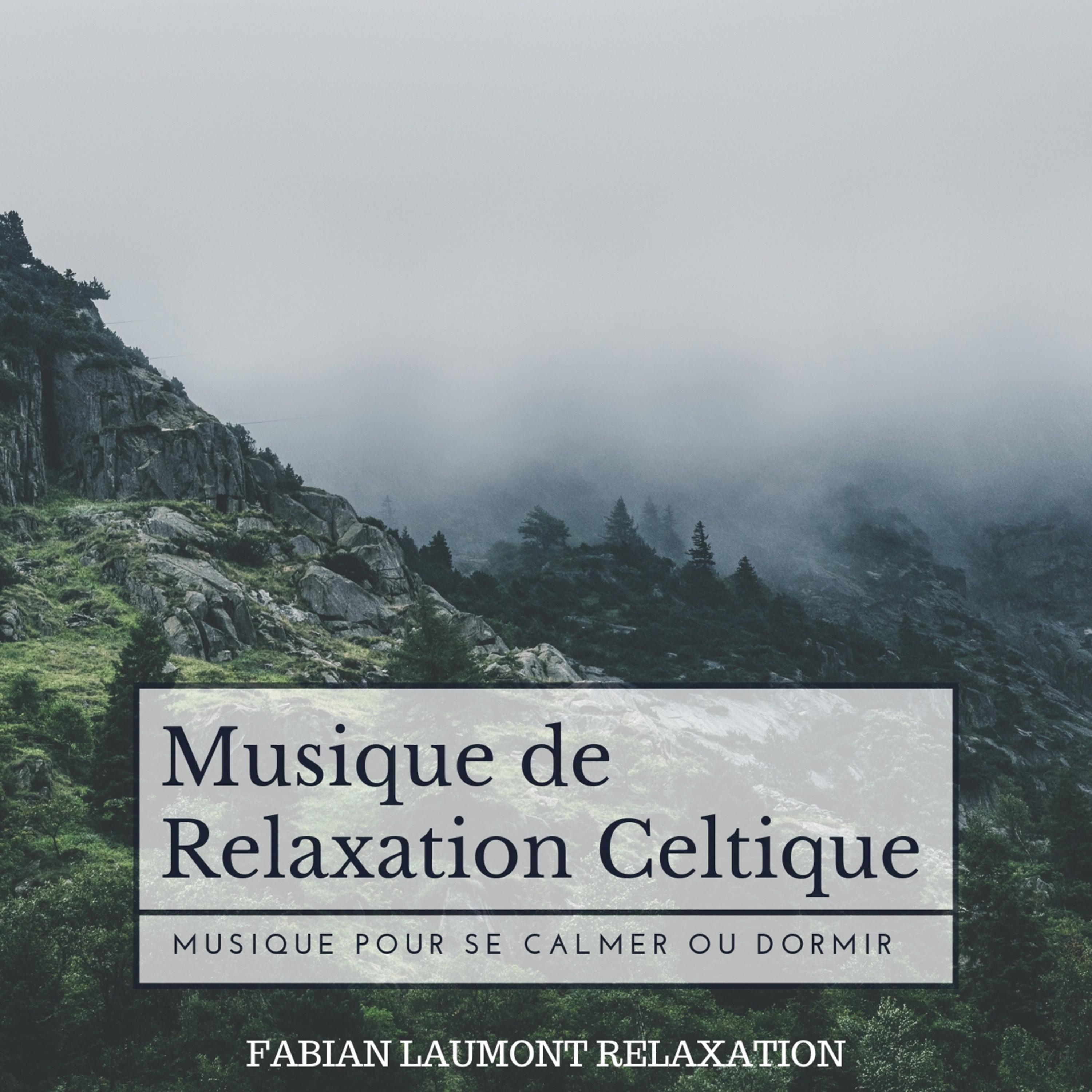 Musique De Relaxation Celtique