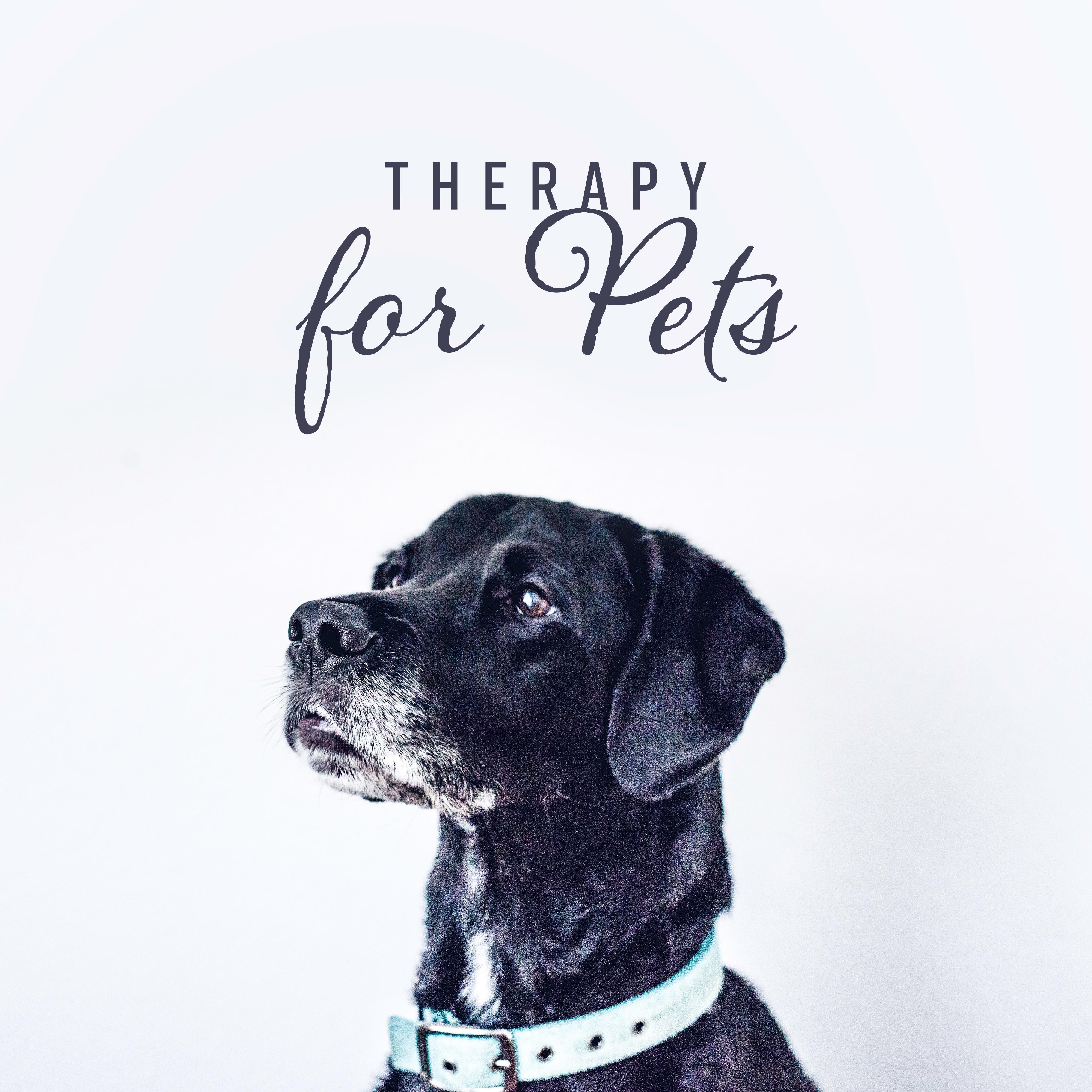 Therapy for Pets - Healing and Soothing Nature Melodies for Your Pet, Relieving Stress and Tension Music, to Relax and Calm Down