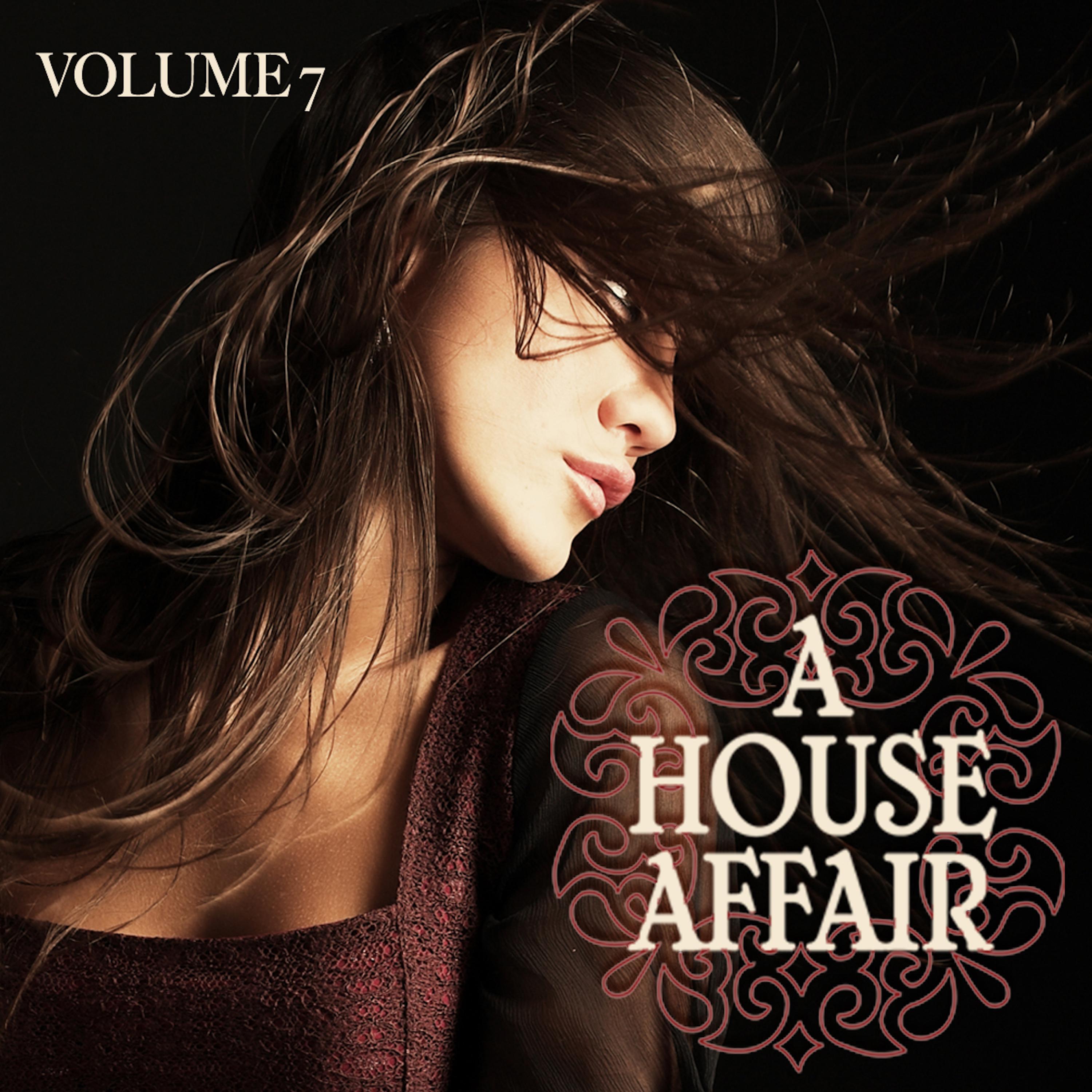 A House Affair, Vol. 7