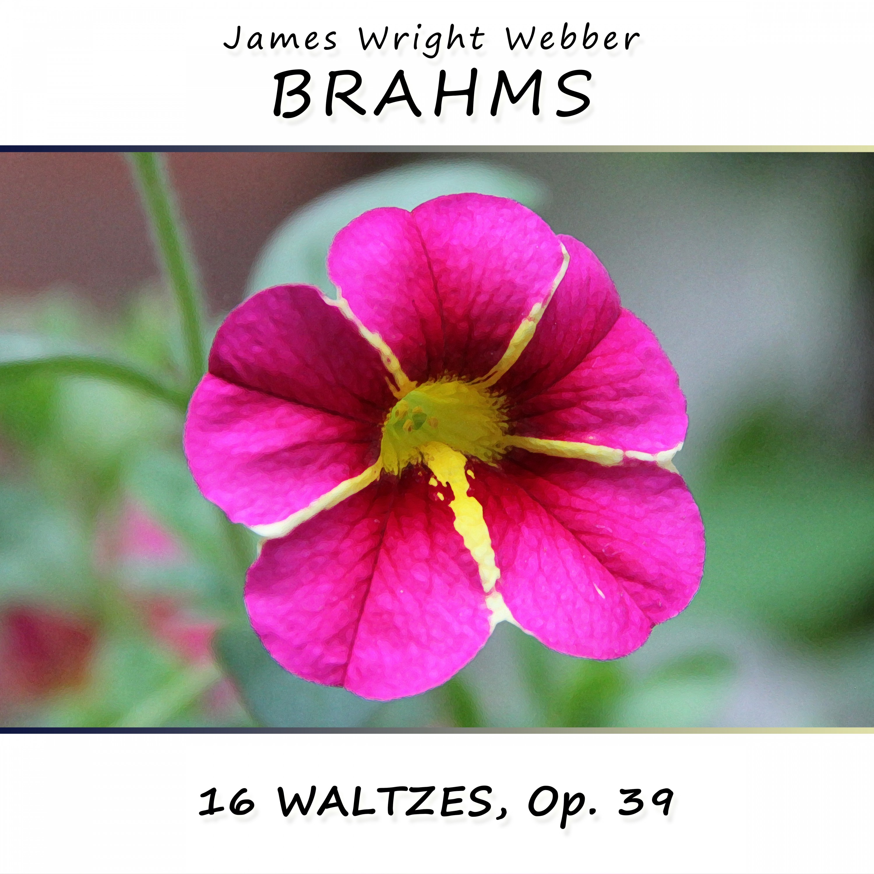 16 Waltzes, Op. 39: No. 7 in C-Sharp Minor